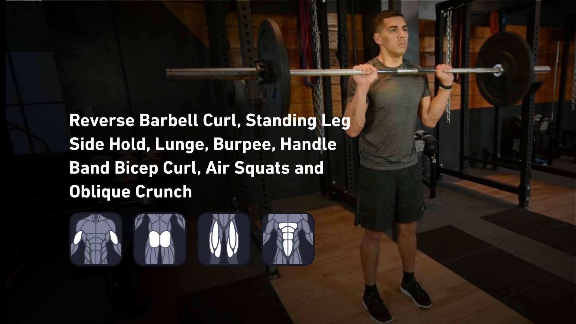 Fitbod - Biceps, Glutes, Quadriceps, Abs ๐๏ธ