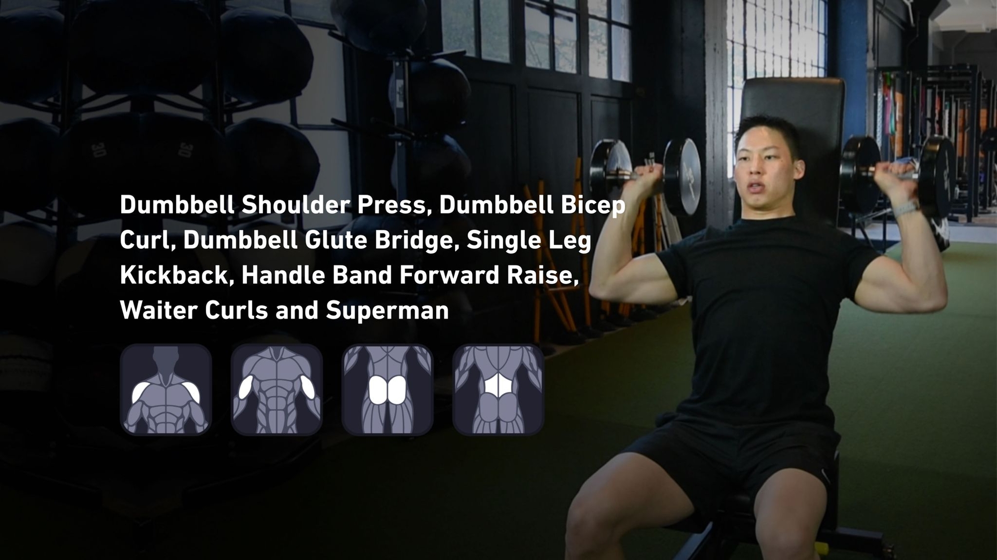 Fitbod - Shoulders, Biceps, Glutes, Lower Back ๐๏ธ