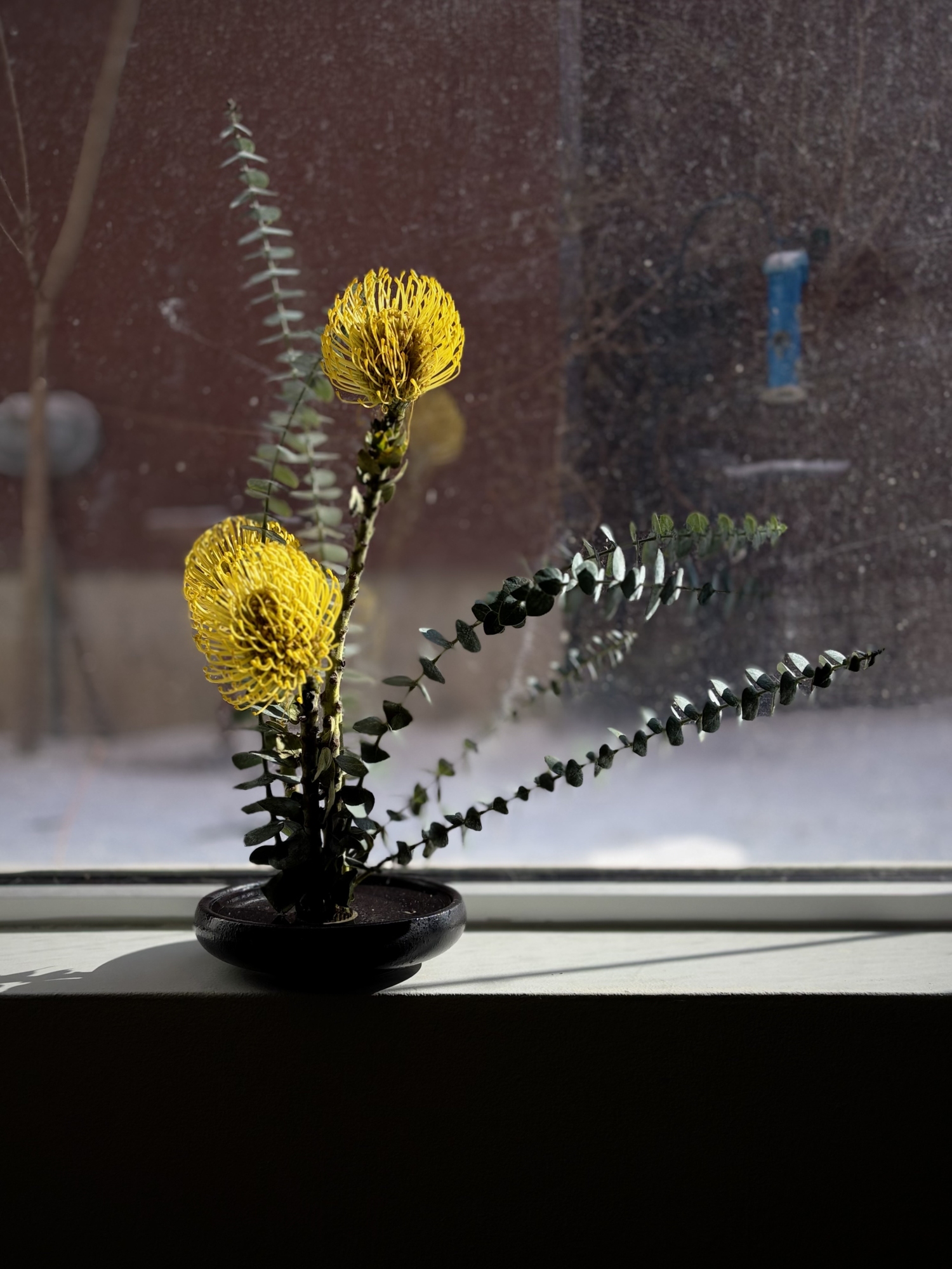 Morning Ikebana on the window