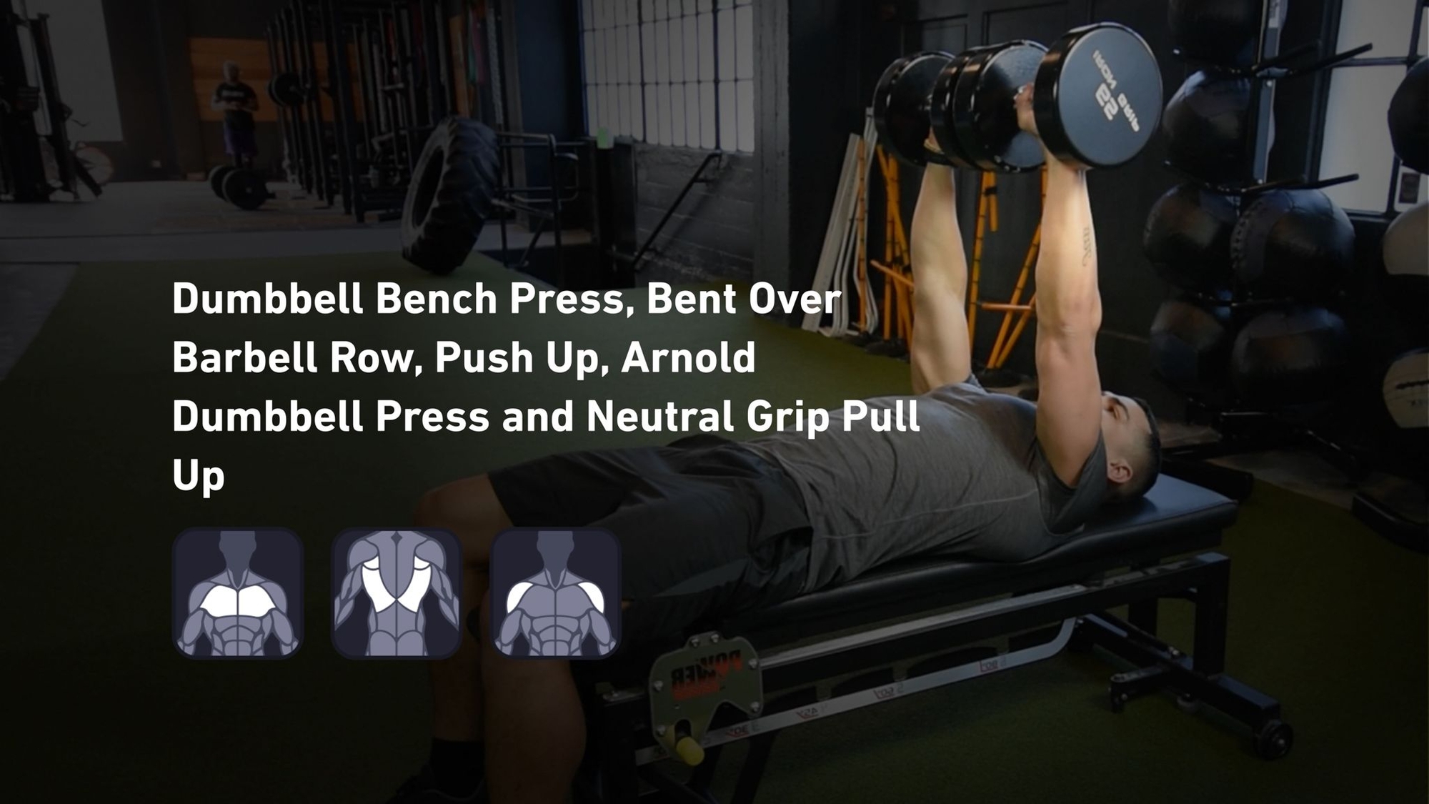 Fitbod - Chest, Back, Shoulders 🏋️