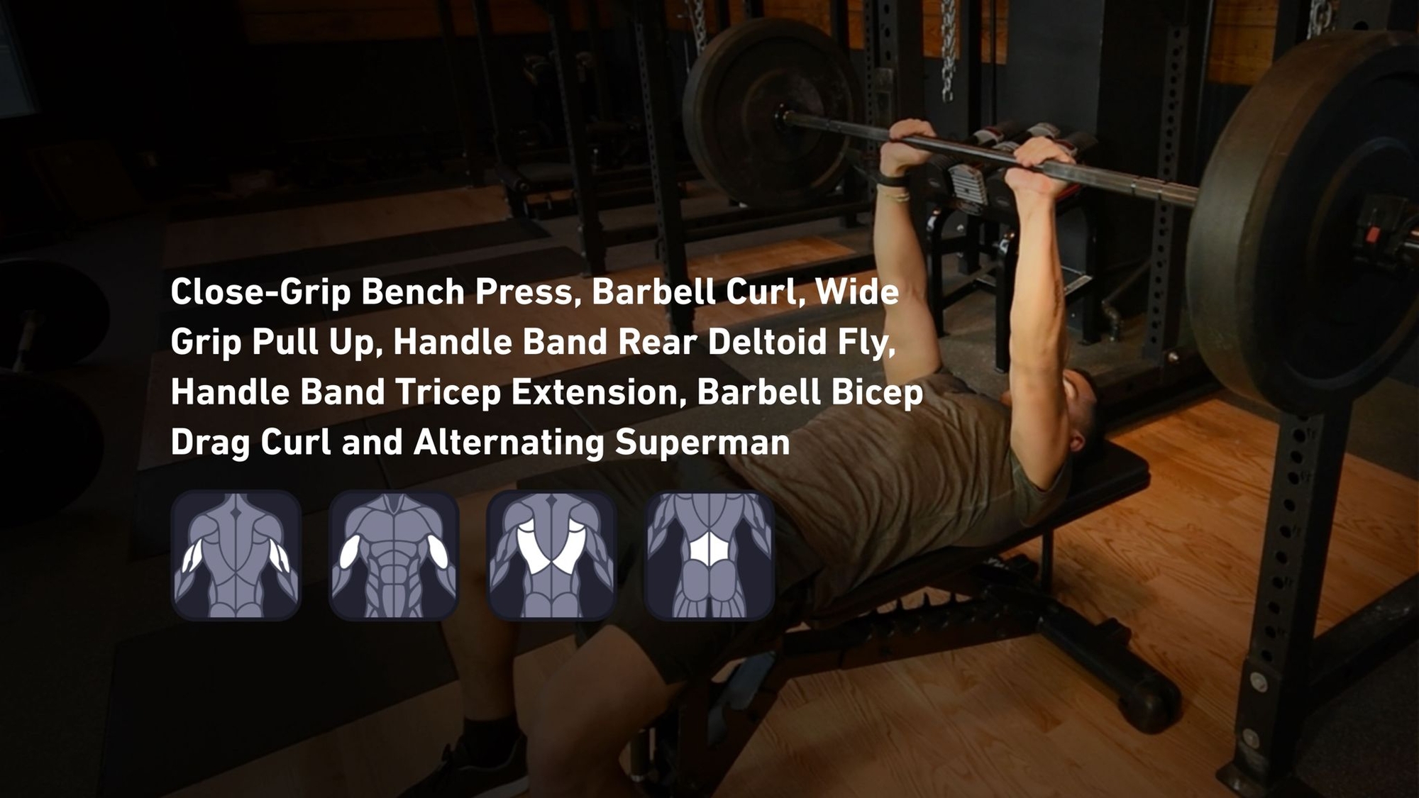 Fitbod - Triceps, Biceps, Back, Lower Back ๐๏ธ