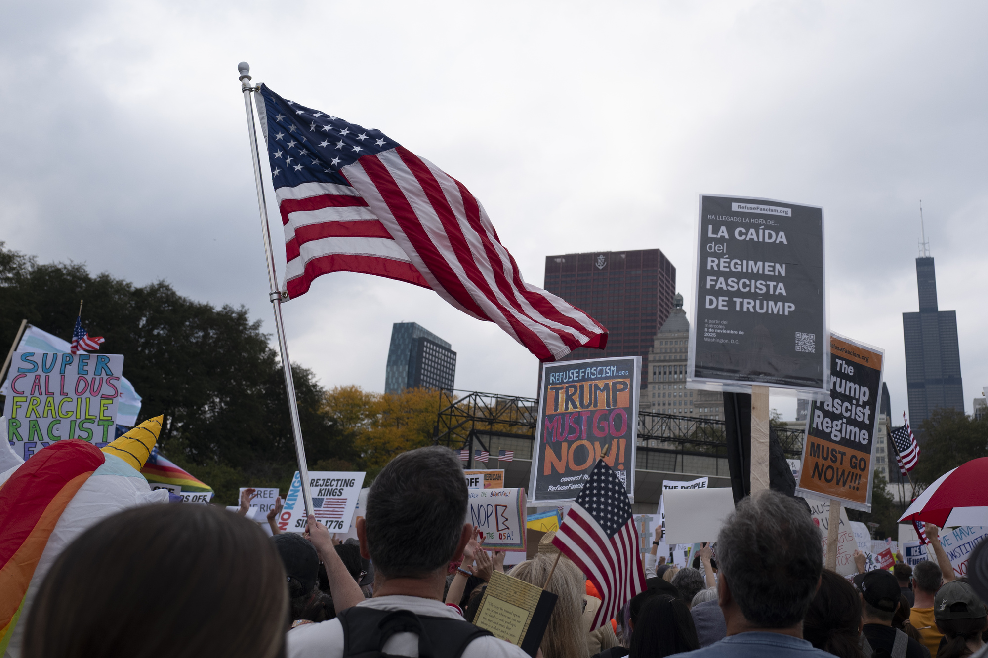 Peaceful protesters in Grant Park
