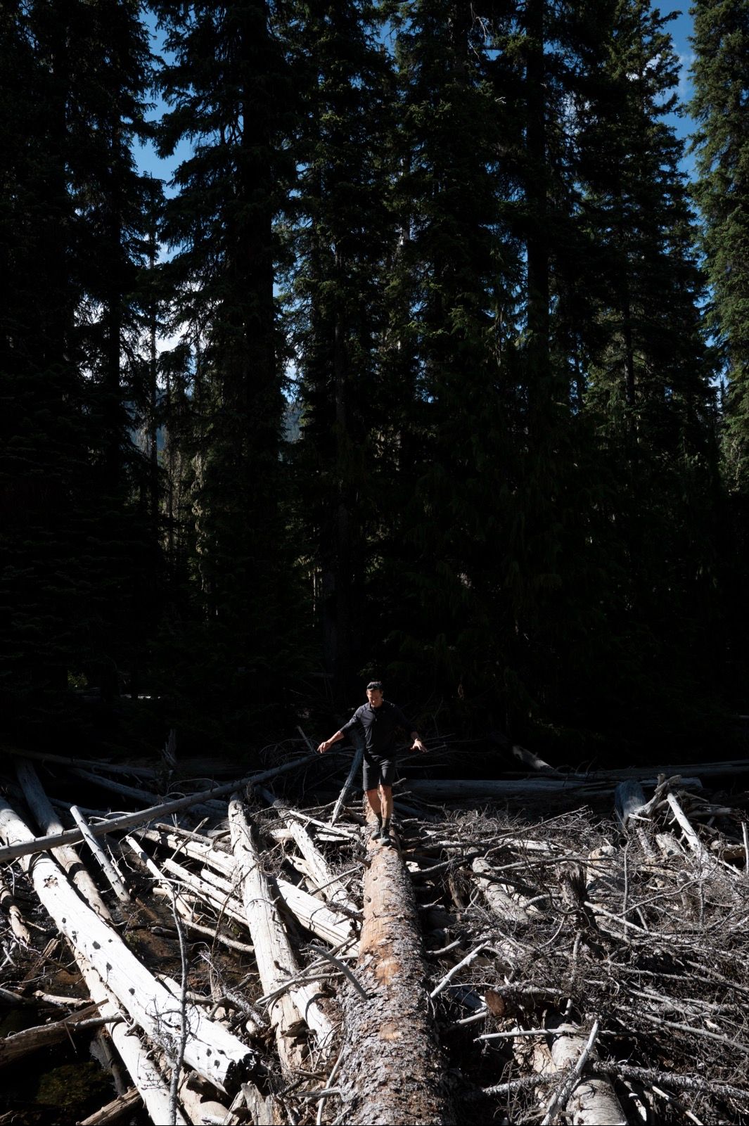 Warmup hike in Mt. Rainier national park