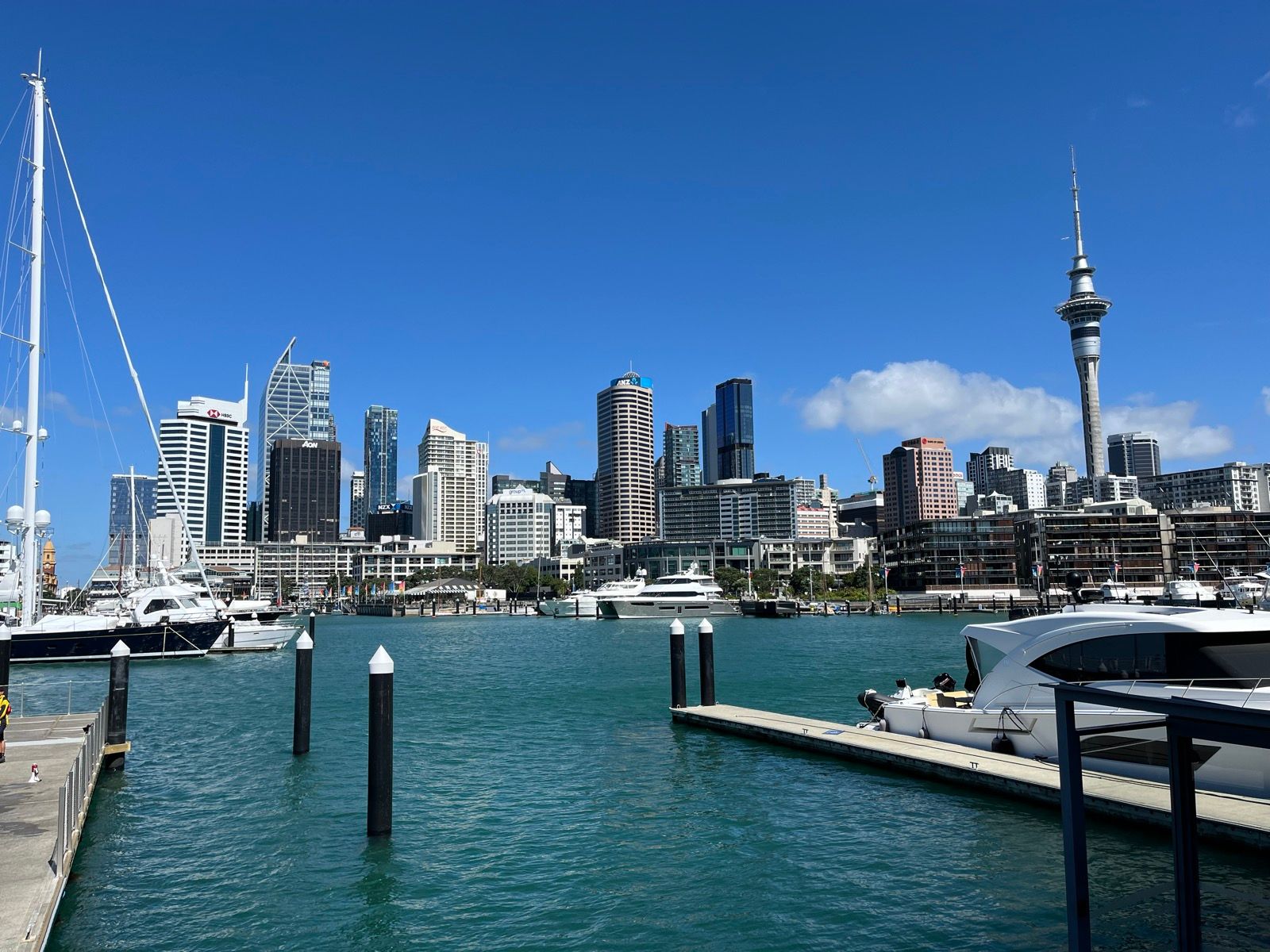 Auckland first 🏃