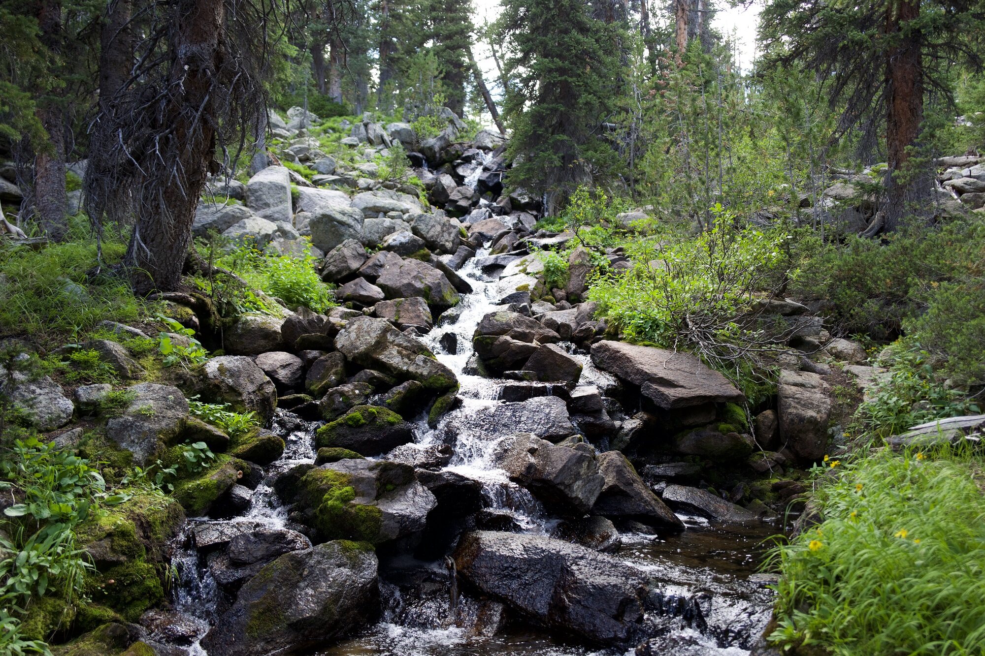 Little Wind River falls