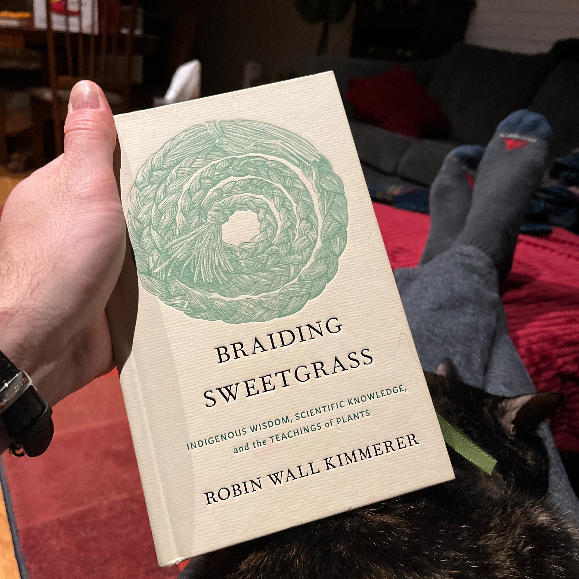 Braiding Sweetgrass