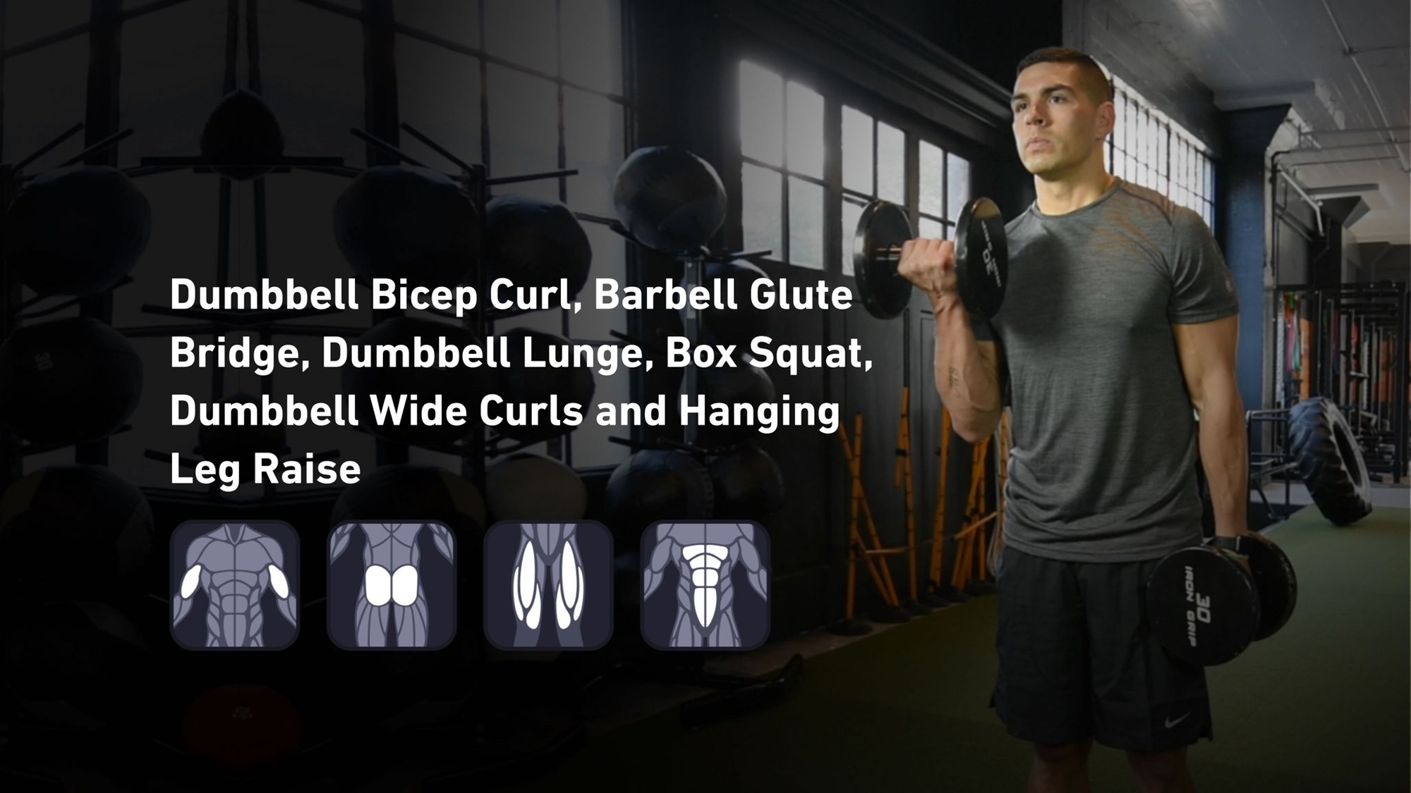 Fitbod - Biceps, Glutes, Quadriceps, Abs ๐๏ธ