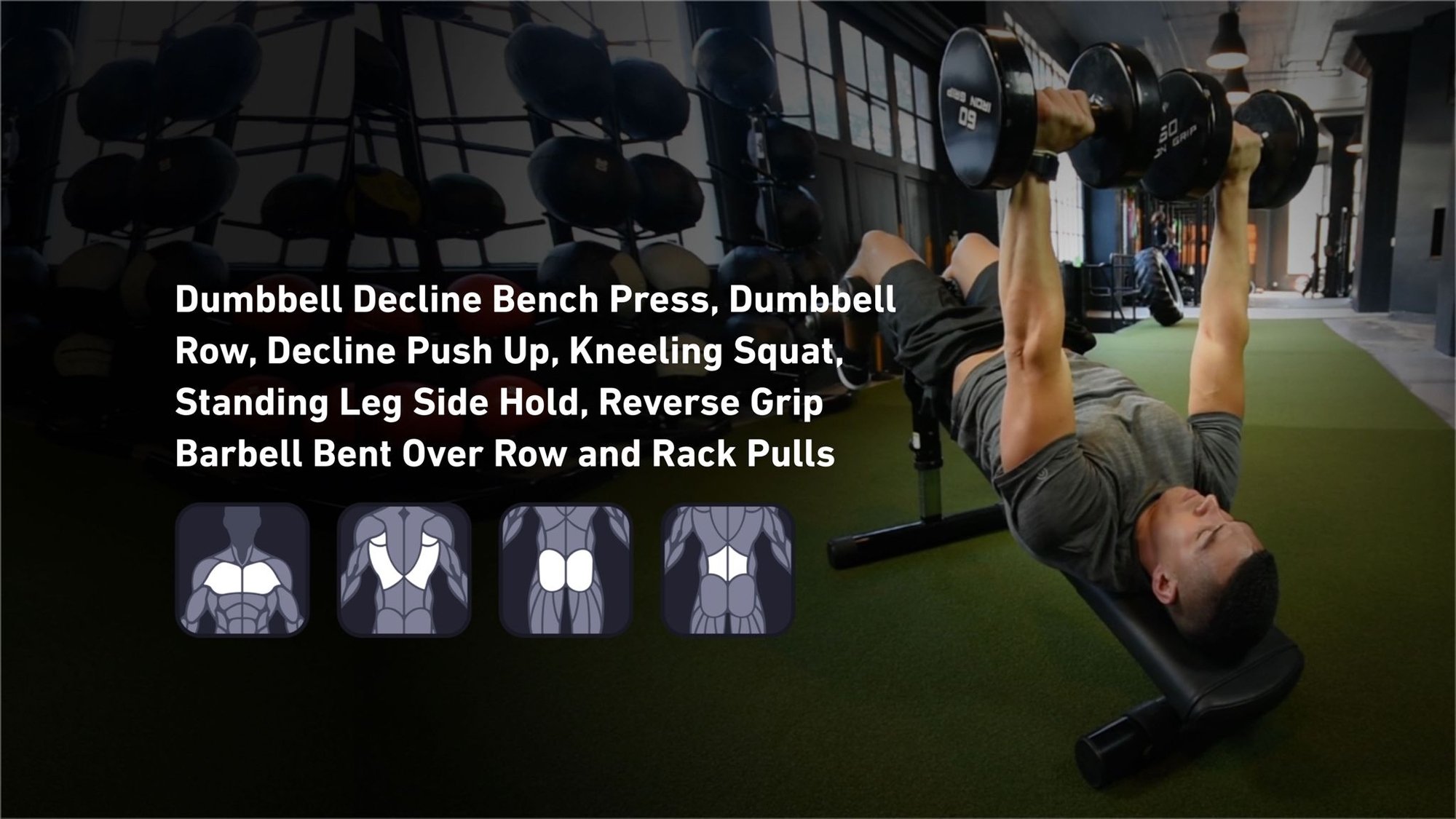 Fitbod - Chest, Back, Glutes, Lower Back ๐๏ธ