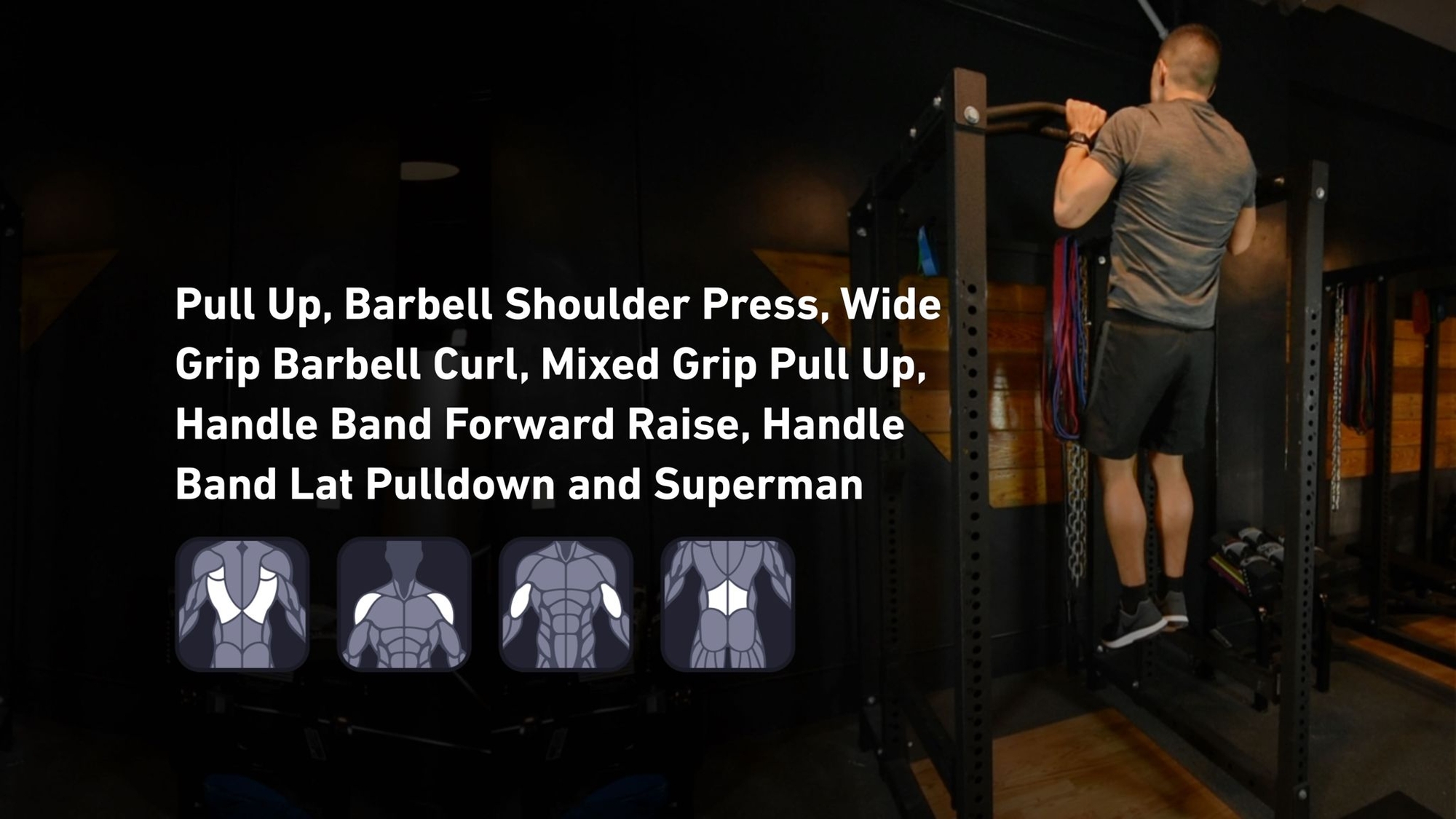 Fitbod - Back, Shoulders, Biceps, Lower Back ๐๏ธ