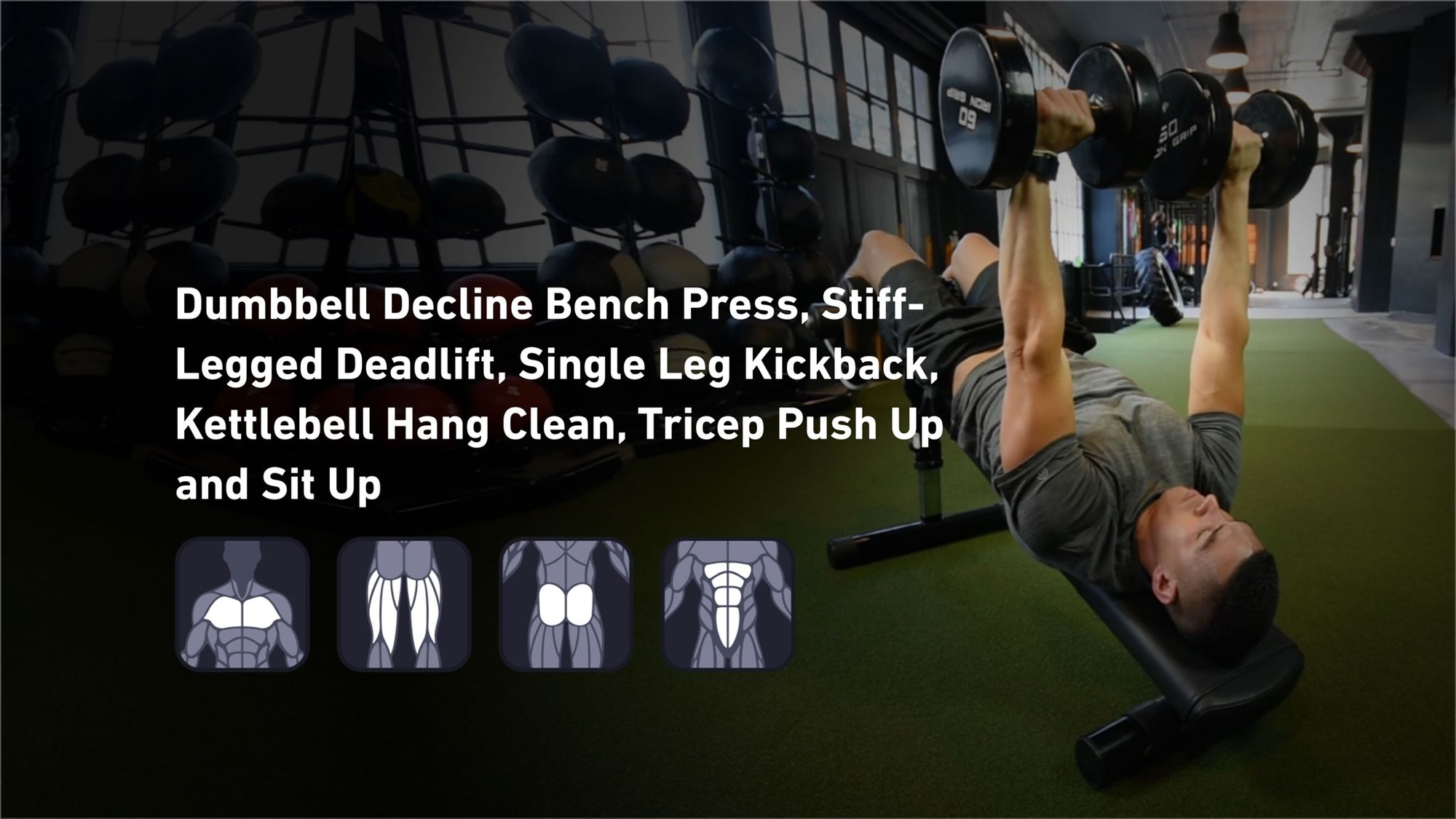 Fitbod - Chest, Hamstrings, Glutes, Abs ๐๏ธ