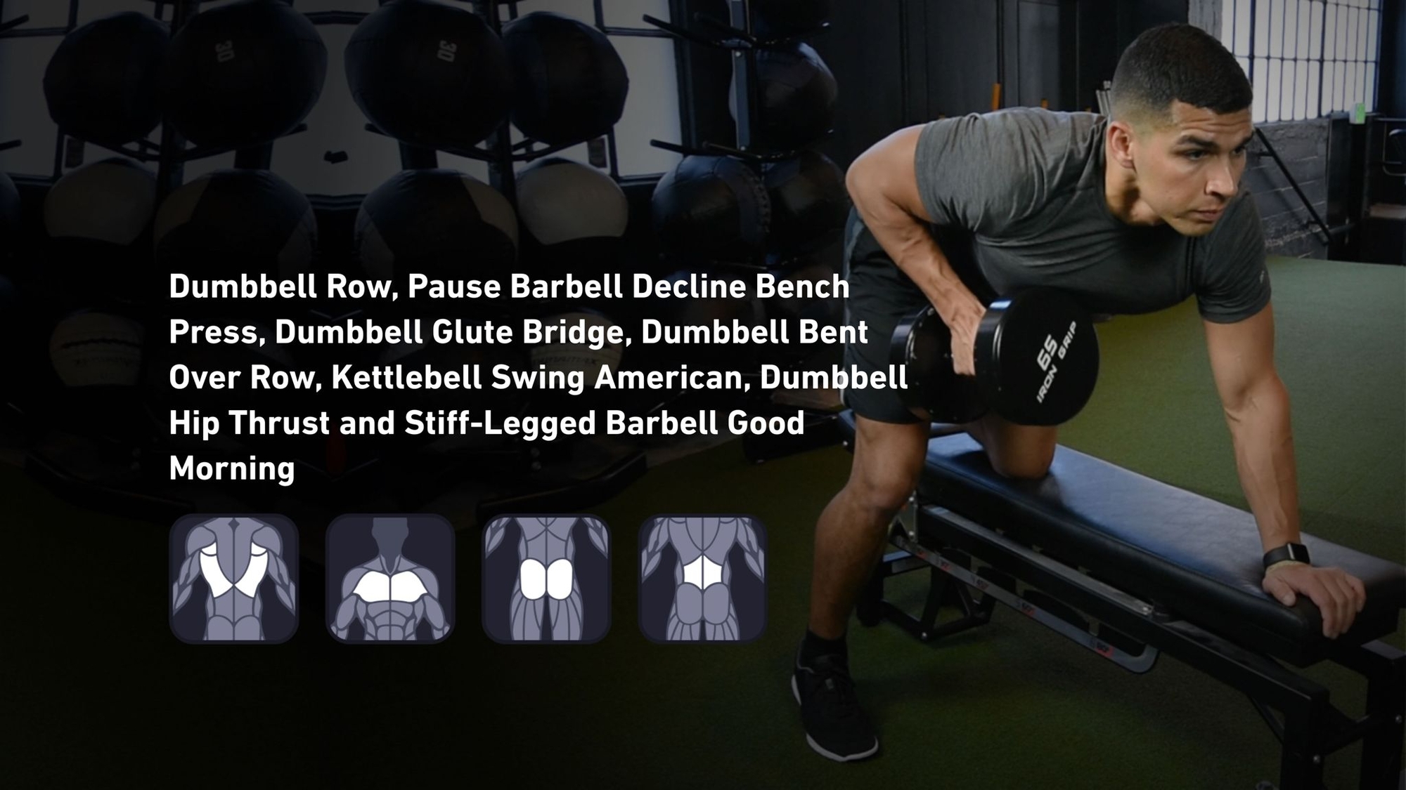 Fitbod - Back, Chest, Glutes, Lower Back ๐๏ธ