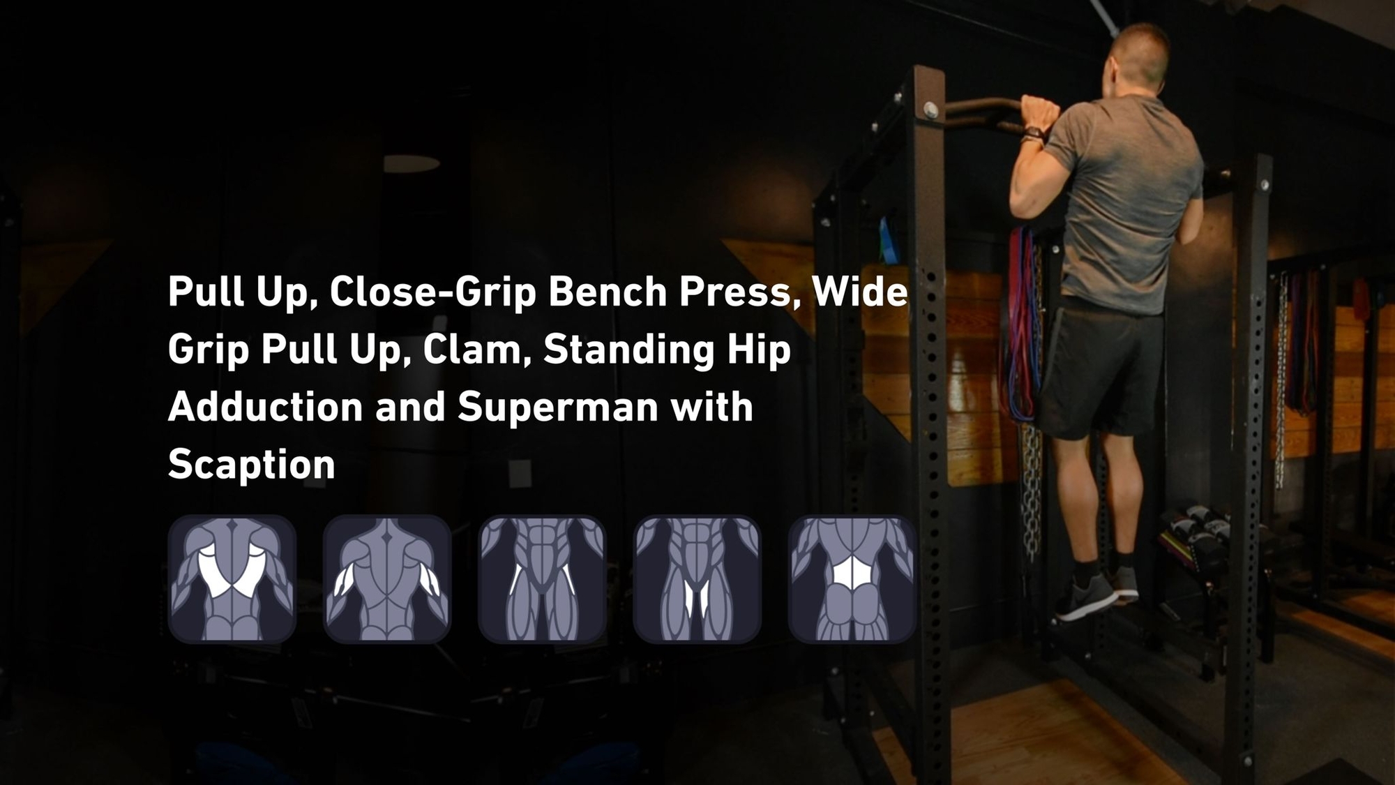 Fitbod - Back, Triceps, Abductors, Adductors, Lower Back ๐๏ธ