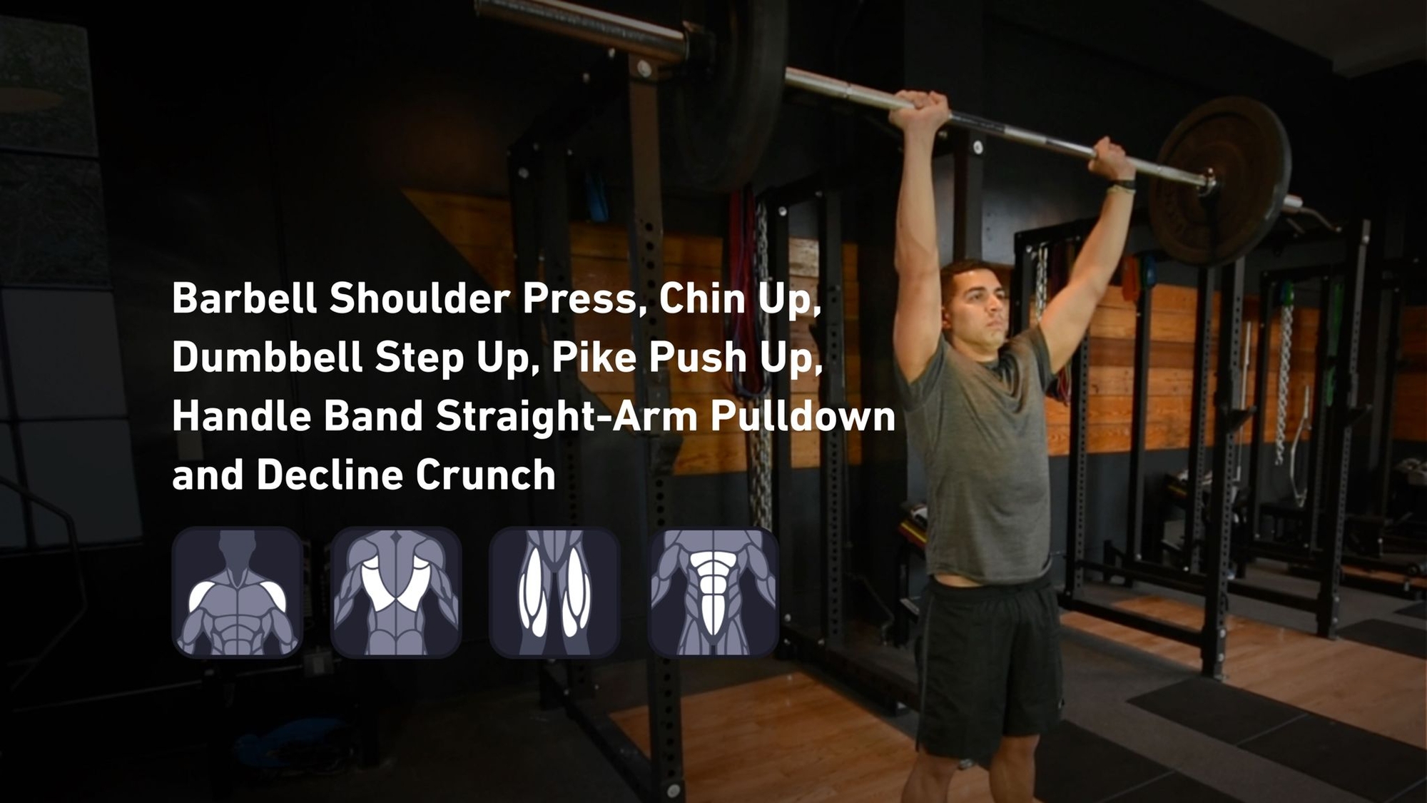 Fitbod - Shoulders, Back, Quadriceps, Abs ๐๏ธ