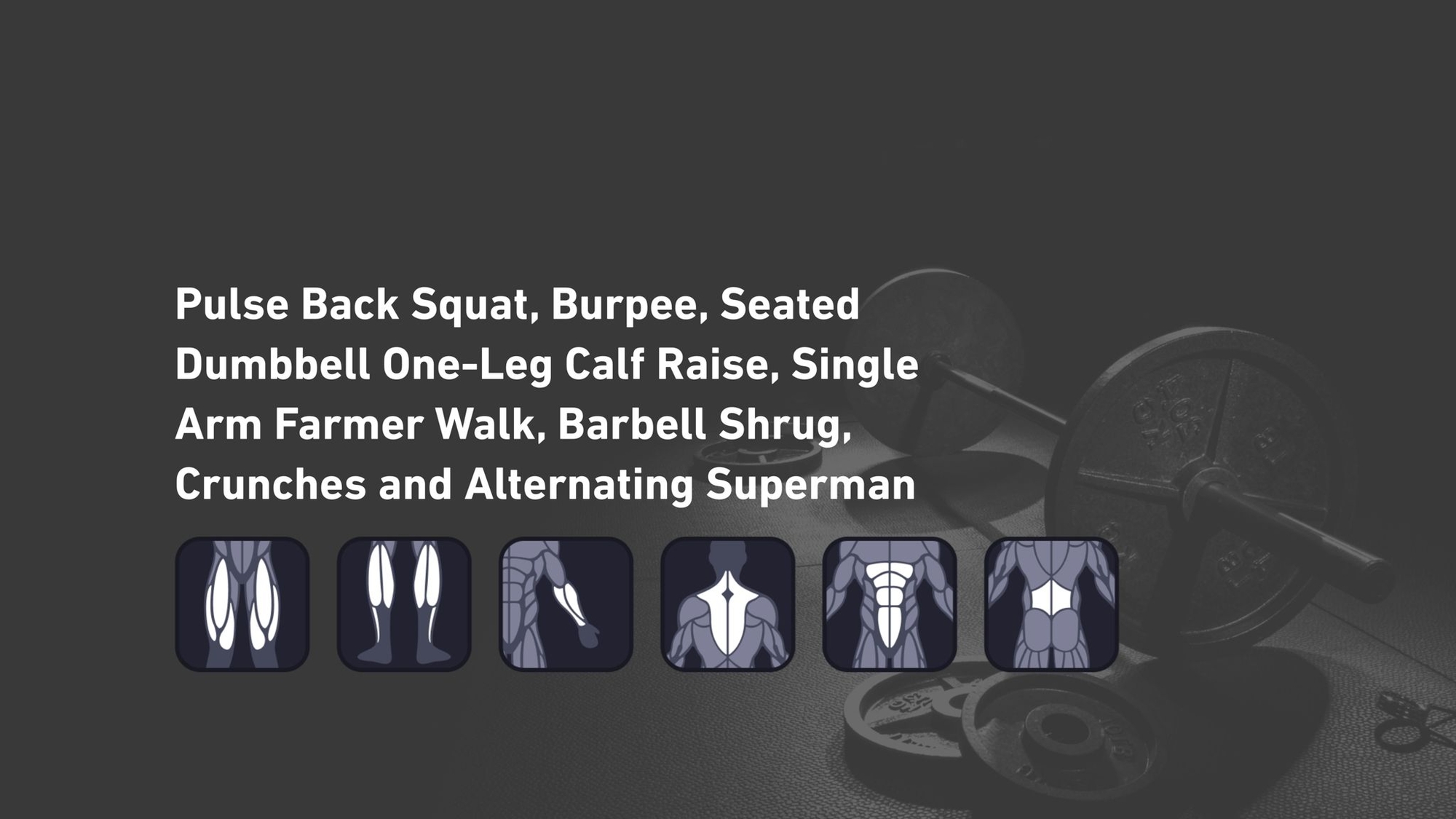 Fitbod - Quadriceps, Calves, Forearms, Trapezius, Abs, Lower Back ๐๏ธ