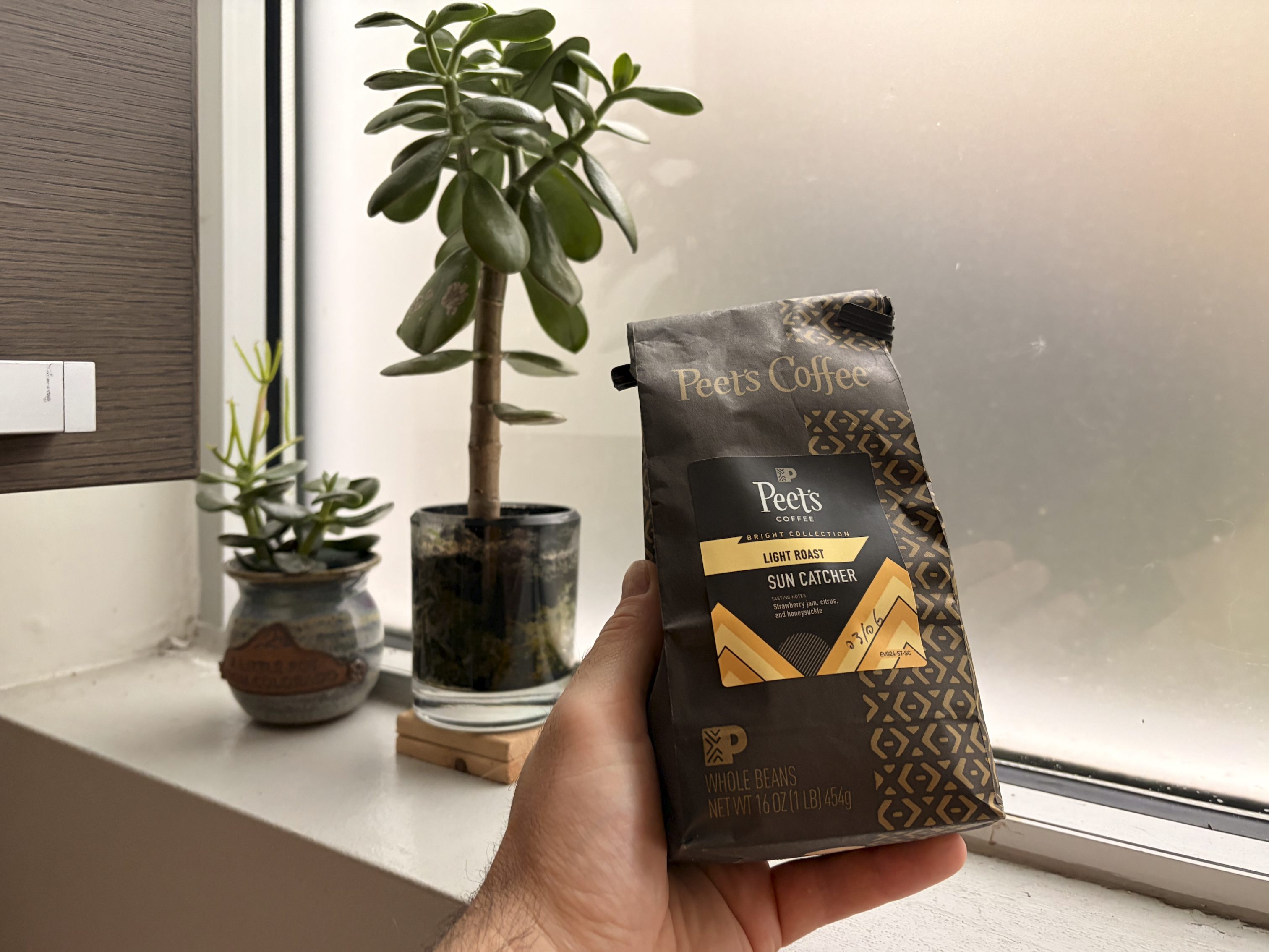 Bag of Sun Catcher light roast from Peet's