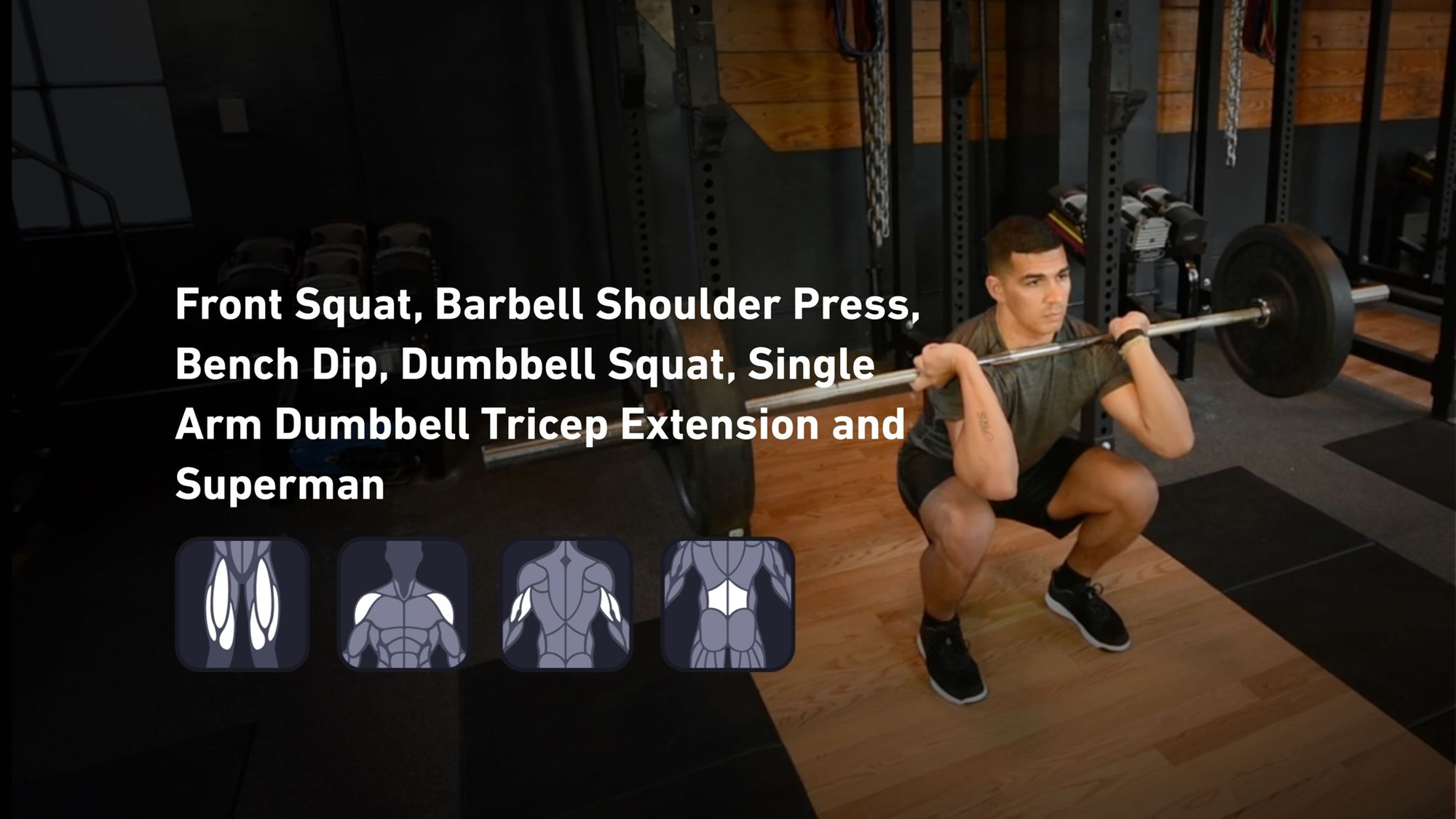 Fitbod - Quadriceps, Shoulders, Triceps, Lower Back ๐๏ธ