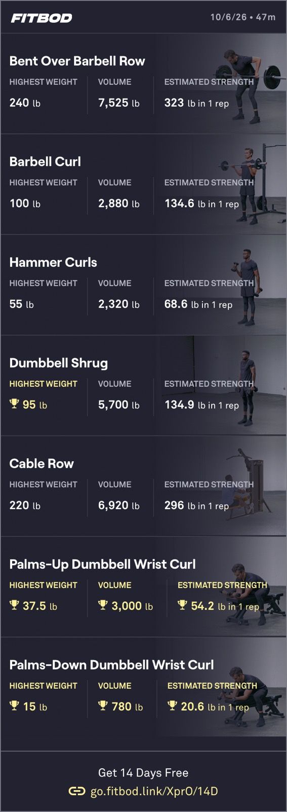 Arms Weight Training
