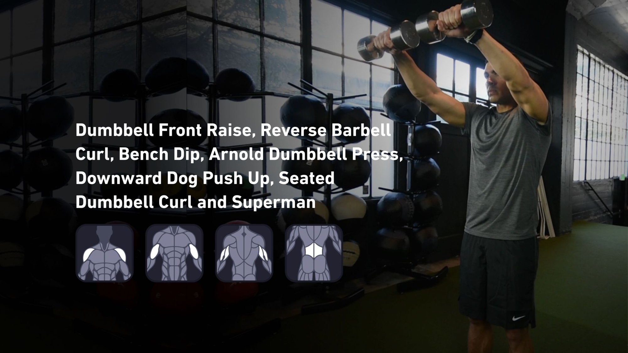 Fitbod - Shoulders, Biceps, Triceps, Lower Back ๐๏ธ