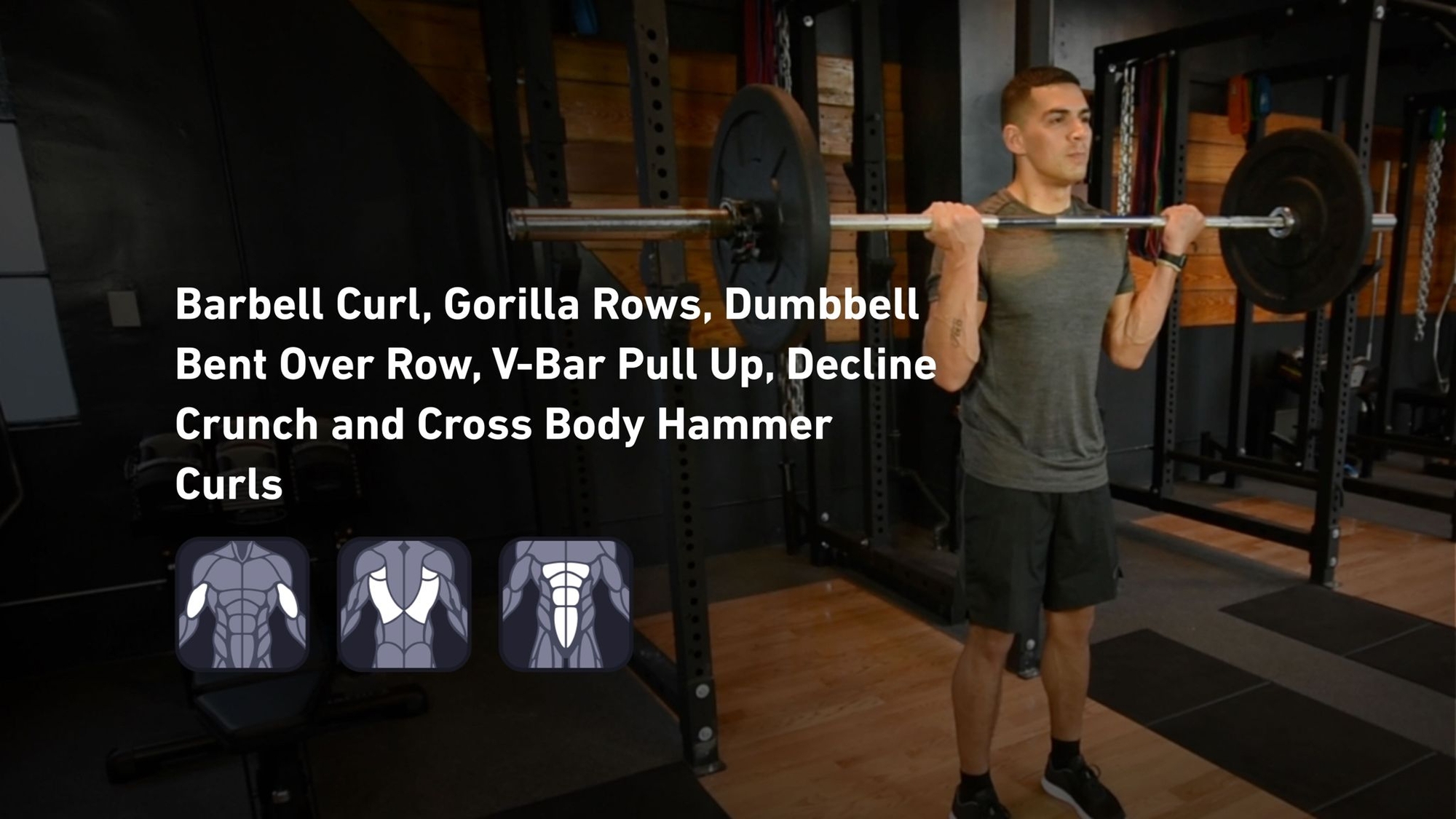 Fitbod - Biceps, Back, Abs 🏋️