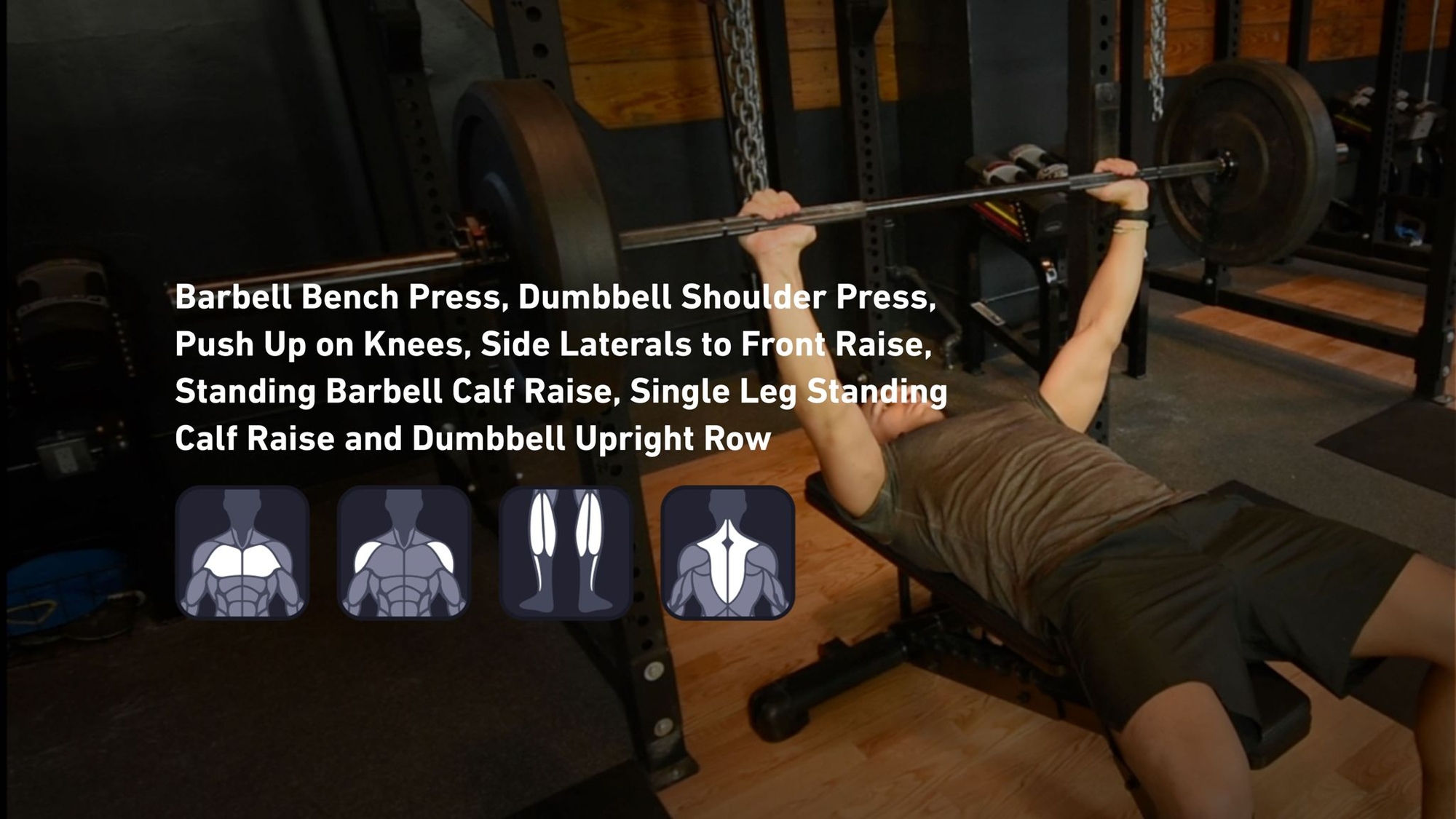 Fitbod - Chest, Shoulders, Calves, Trapezius ๐๏ธ