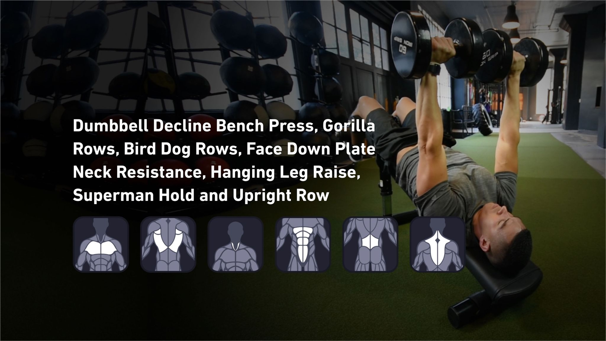 Fitbod - Chest, Back, Neck, Abs, Lower Back, Trapezius ๐๏ธ