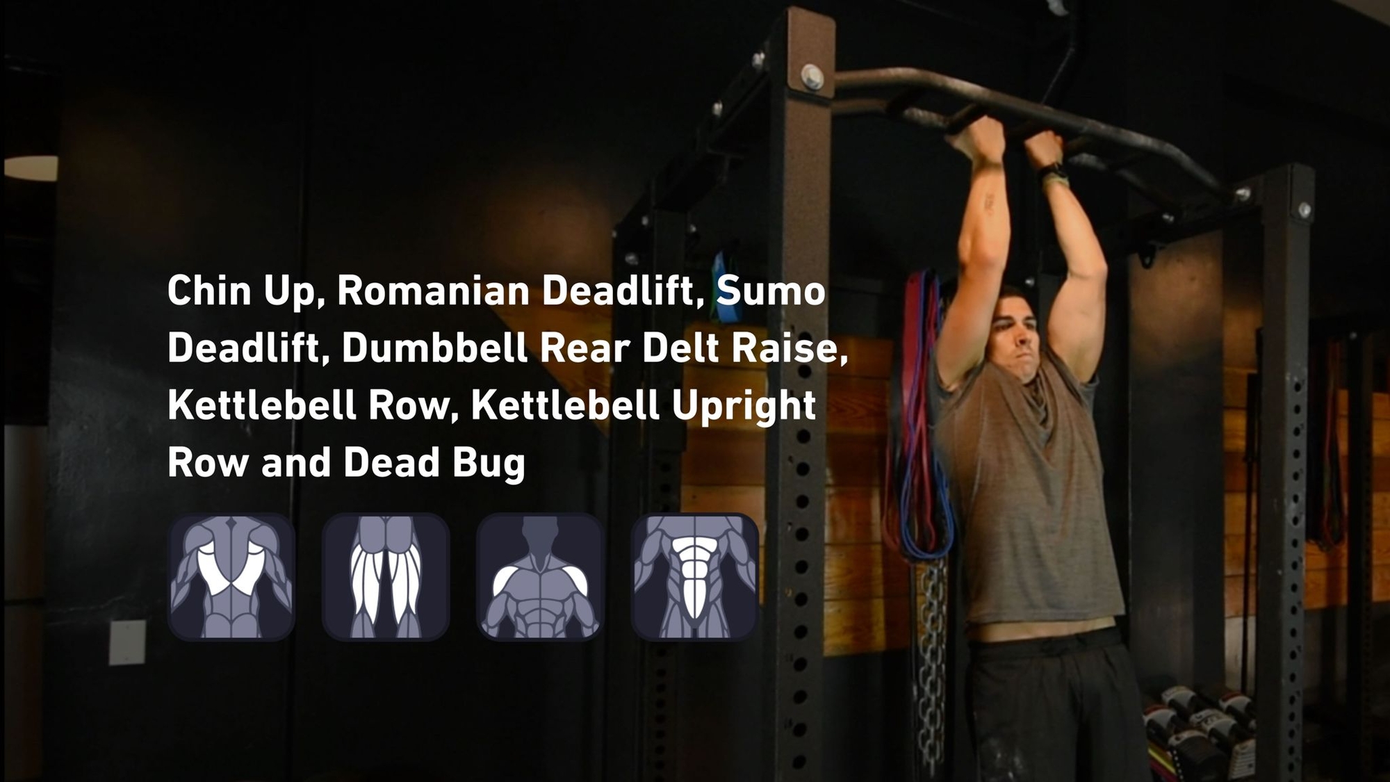 Fitbod - Back, Hamstrings, Shoulders, Abs ๐๏ธ