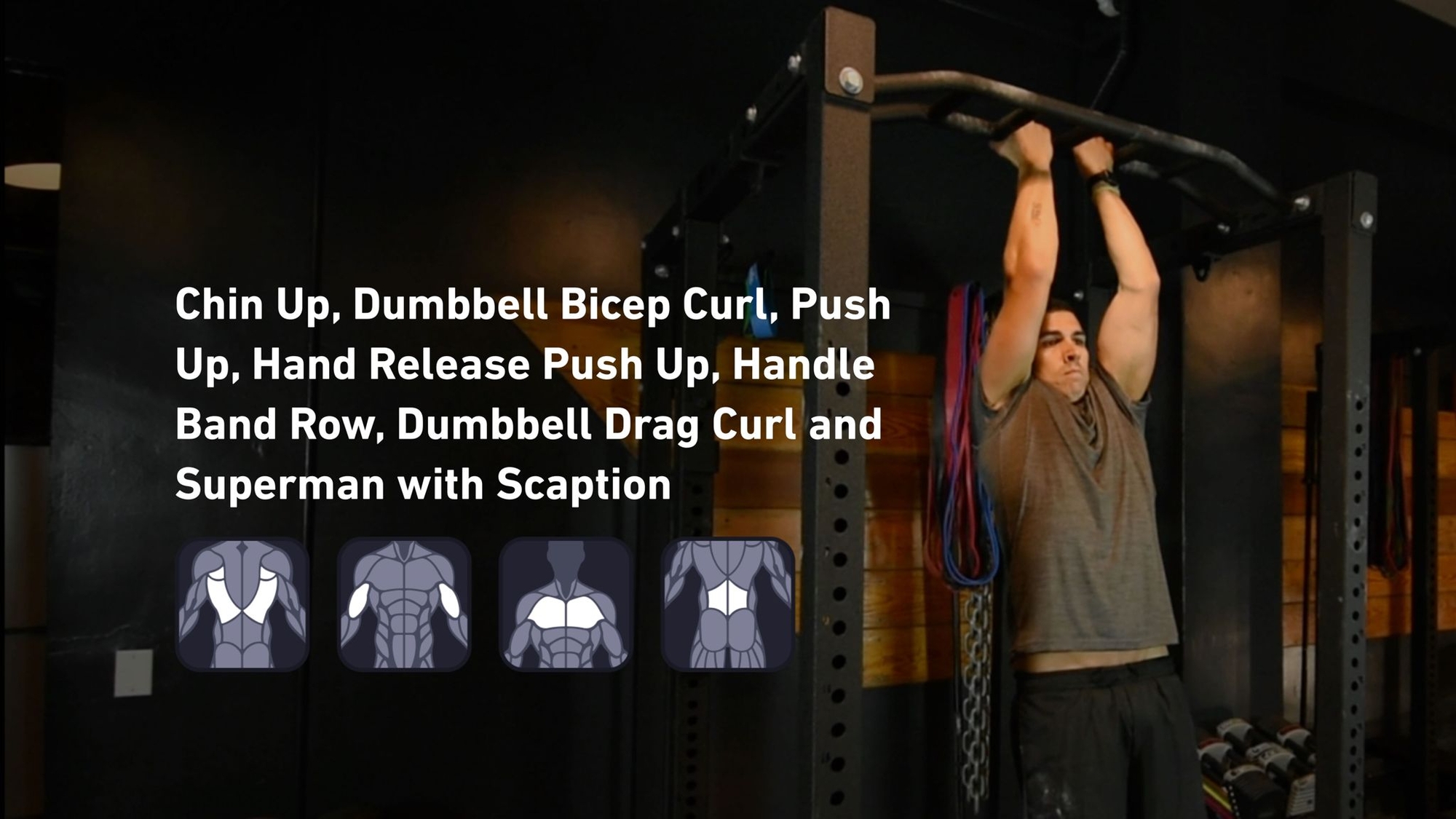 Fitbod - Back, Biceps, Chest, Lower Back ๐๏ธ