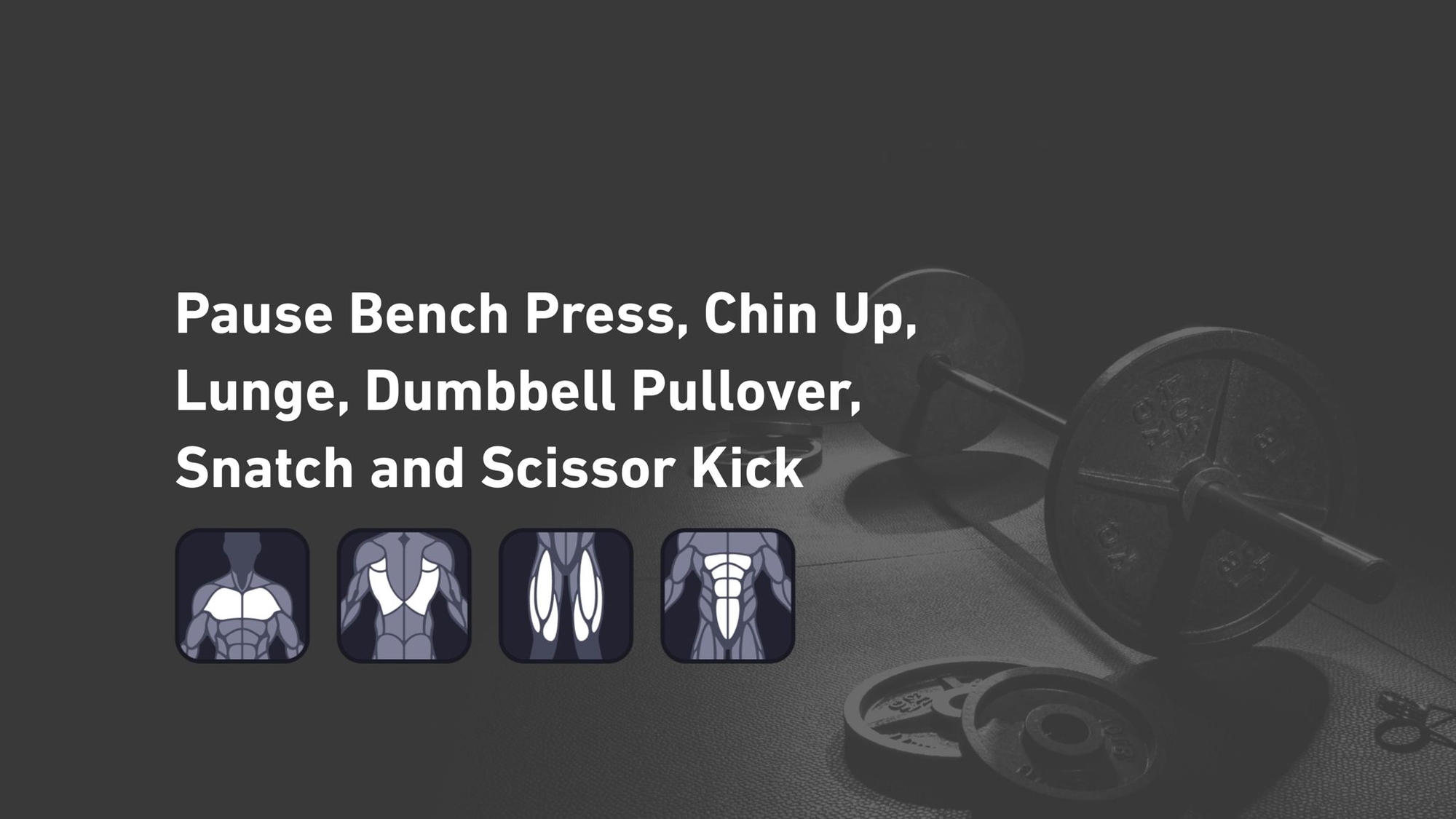 Fitbod - Chest, Back, Quadriceps, Abs 🏋️