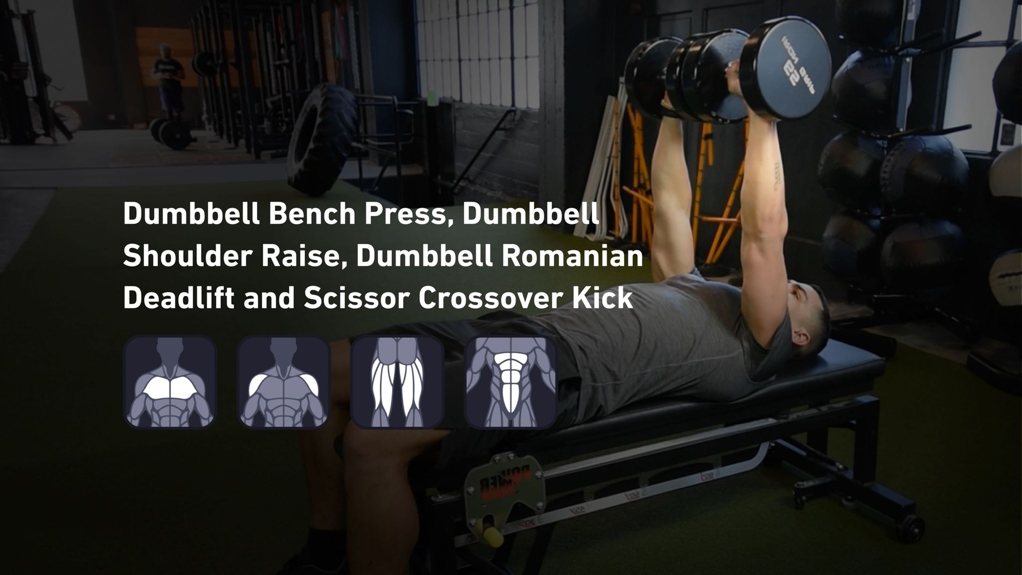 Fitbod - Chest, Shoulders, Hamstrings, Abs ๐๏ธ