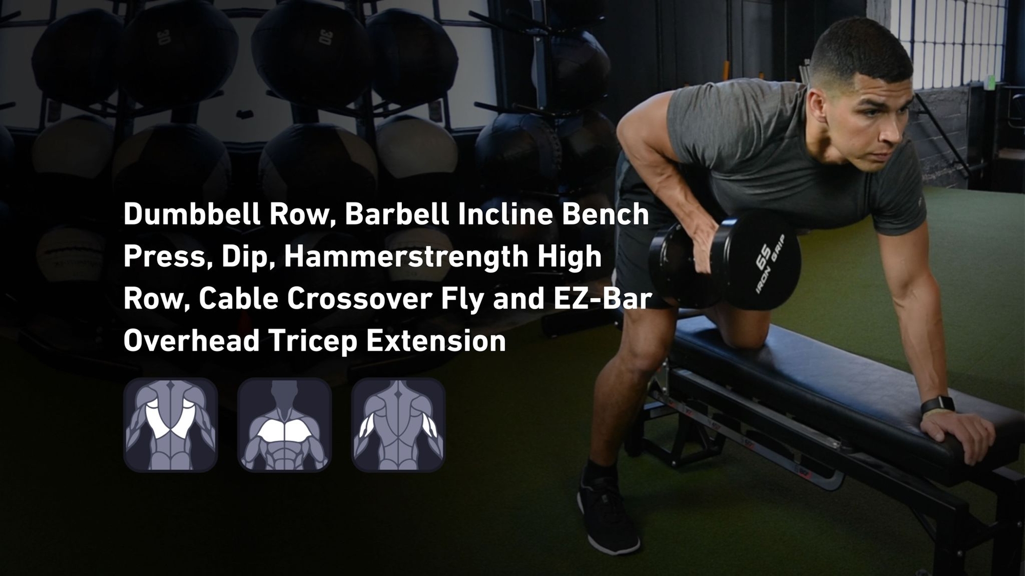 Fitbod - Back, Chest, Triceps 🏋️