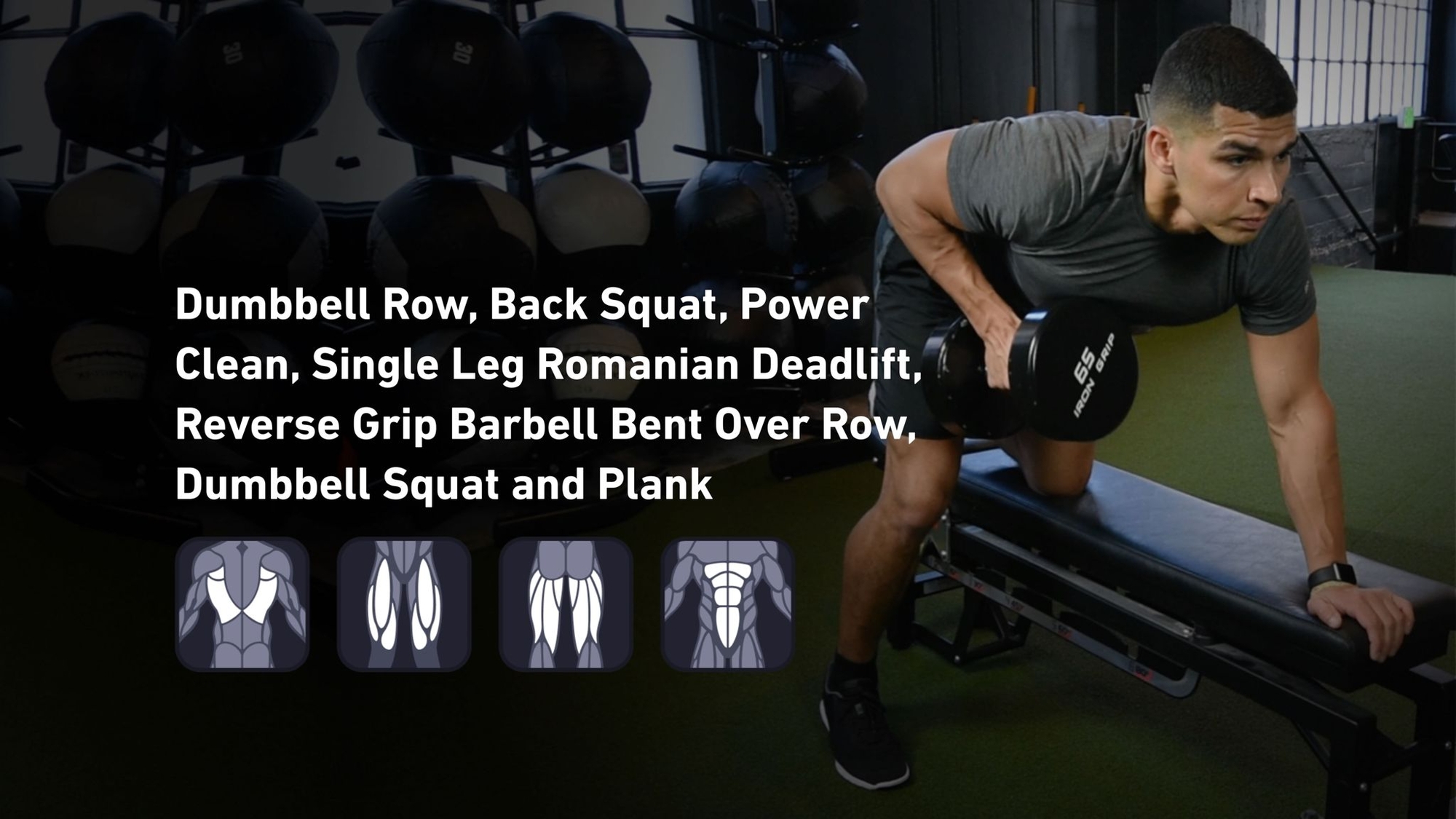 Fitbod - Back, Quadriceps, Hamstrings, Abs ๐๏ธ