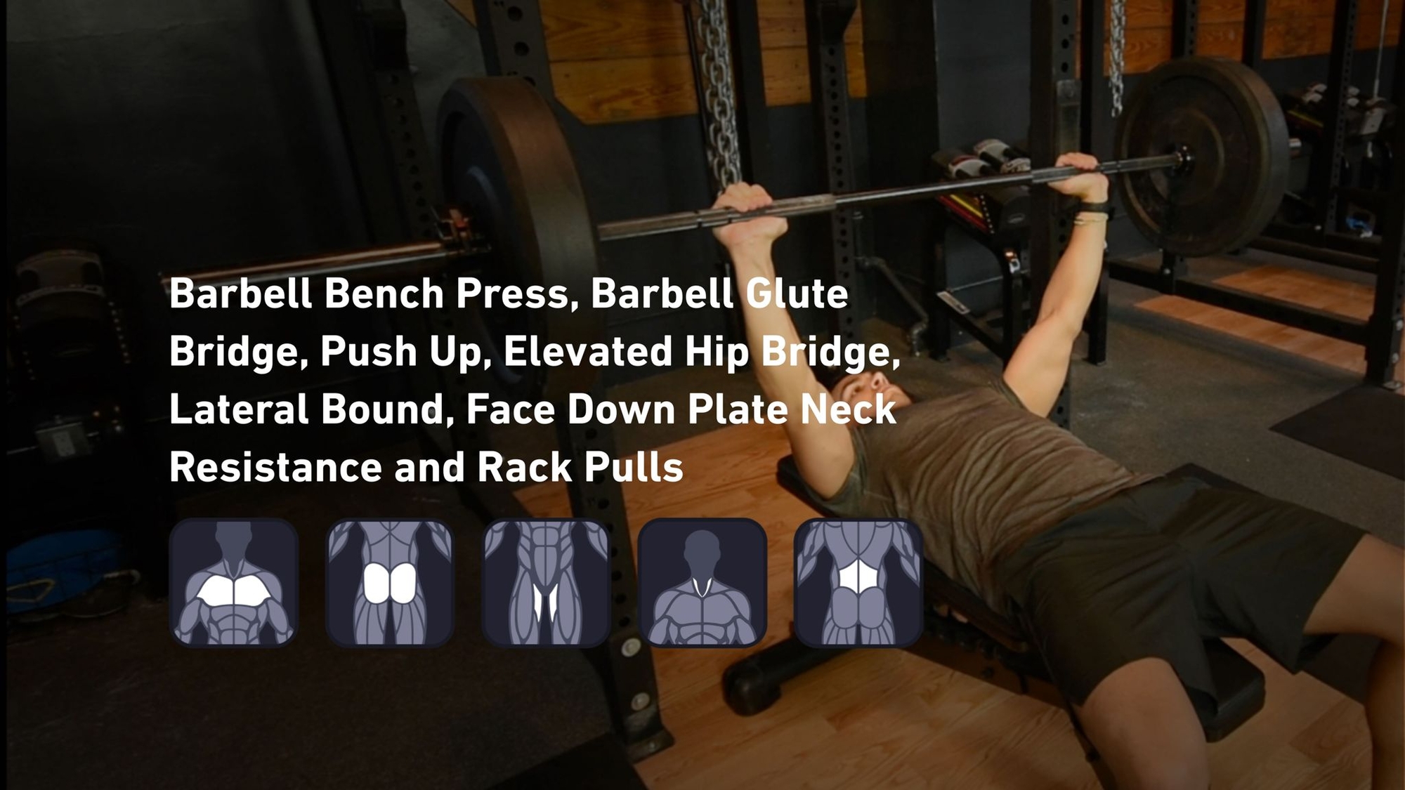 Fitbod - Chest, Glutes, Adductors, Neck, Lower Back ๐๏ธ