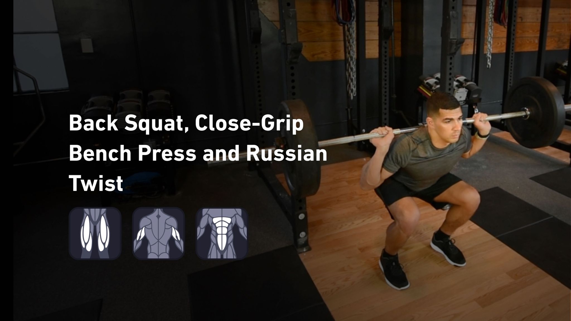 Fitbod - Quadriceps, Triceps, Abs 🏋️