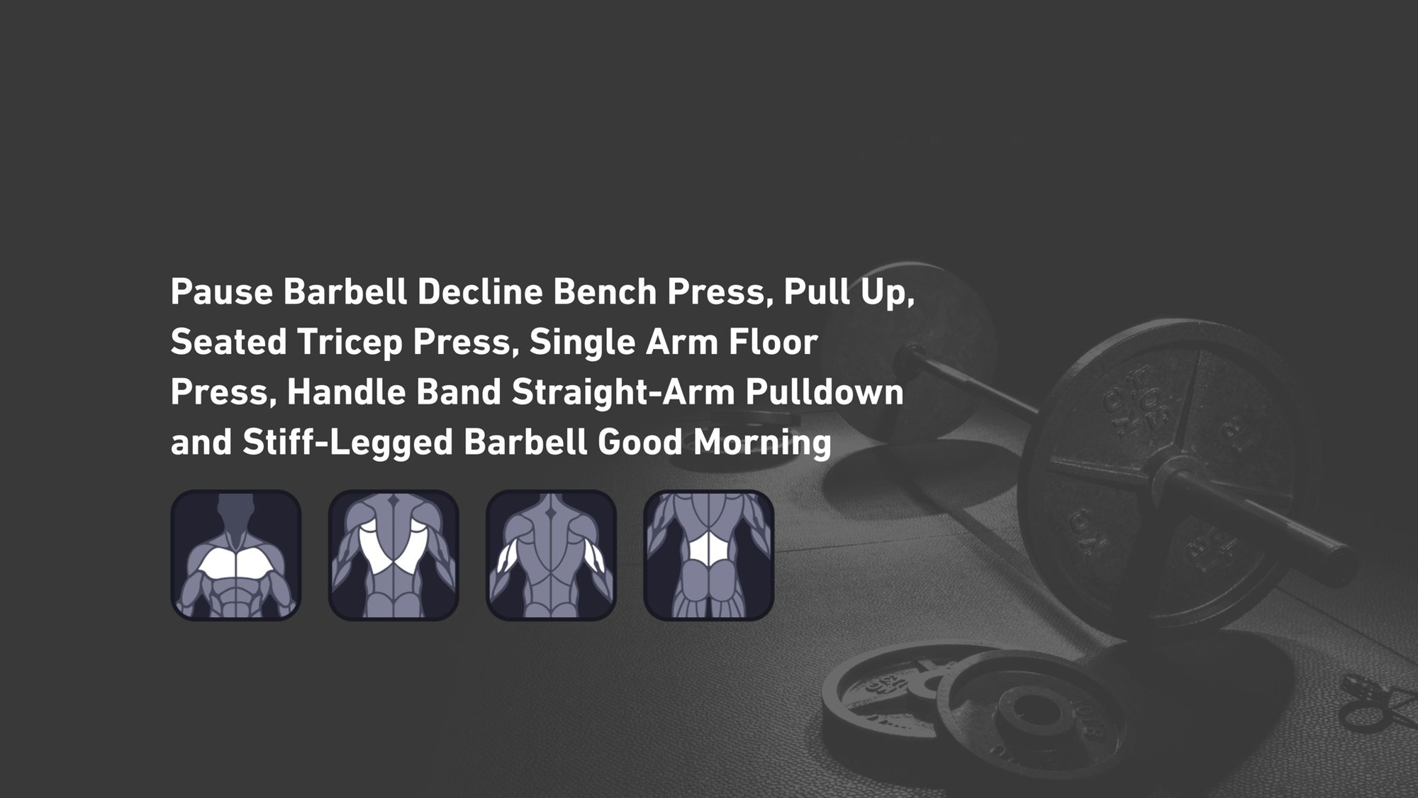 Fitbod - Chest, Back, Triceps, Lower Back ๐๏ธ