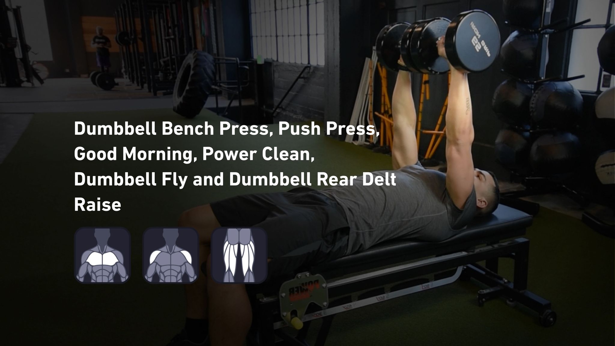 Fitbod - Chest, Shoulders, Hamstrings 🏋️