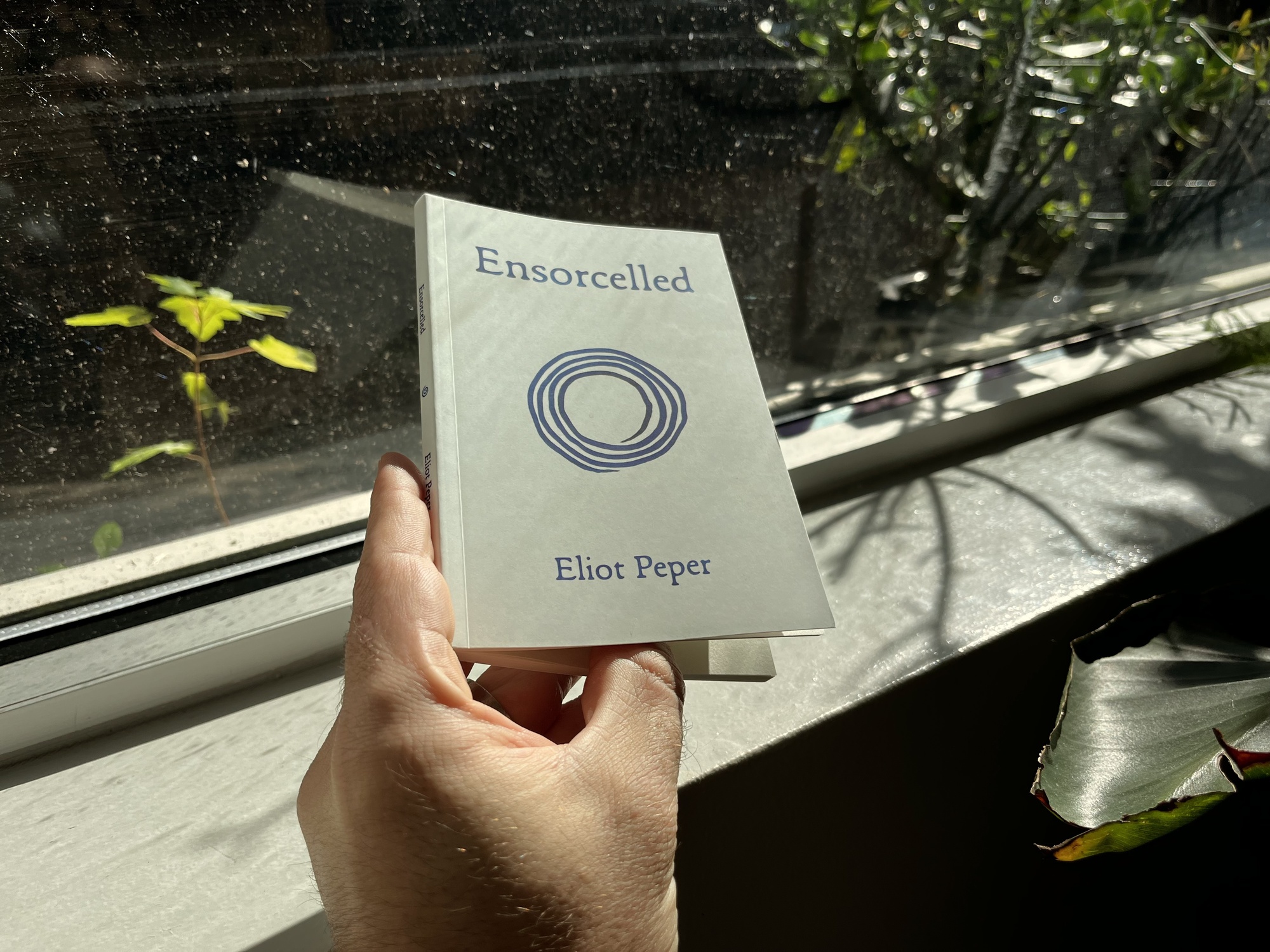 Ensorcelled on a crisp sunny morning