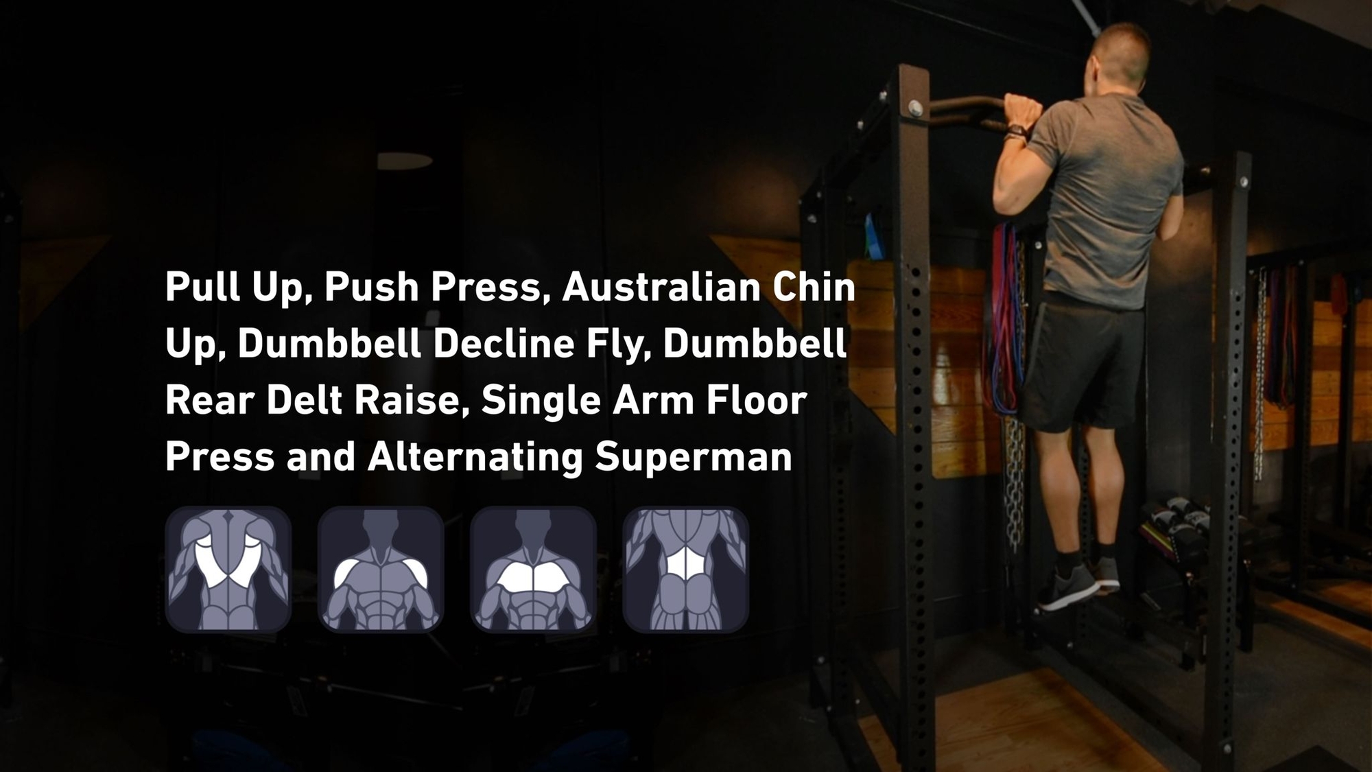 Fitbod - Back, Shoulders, Chest, Lower Back ๐๏ธ