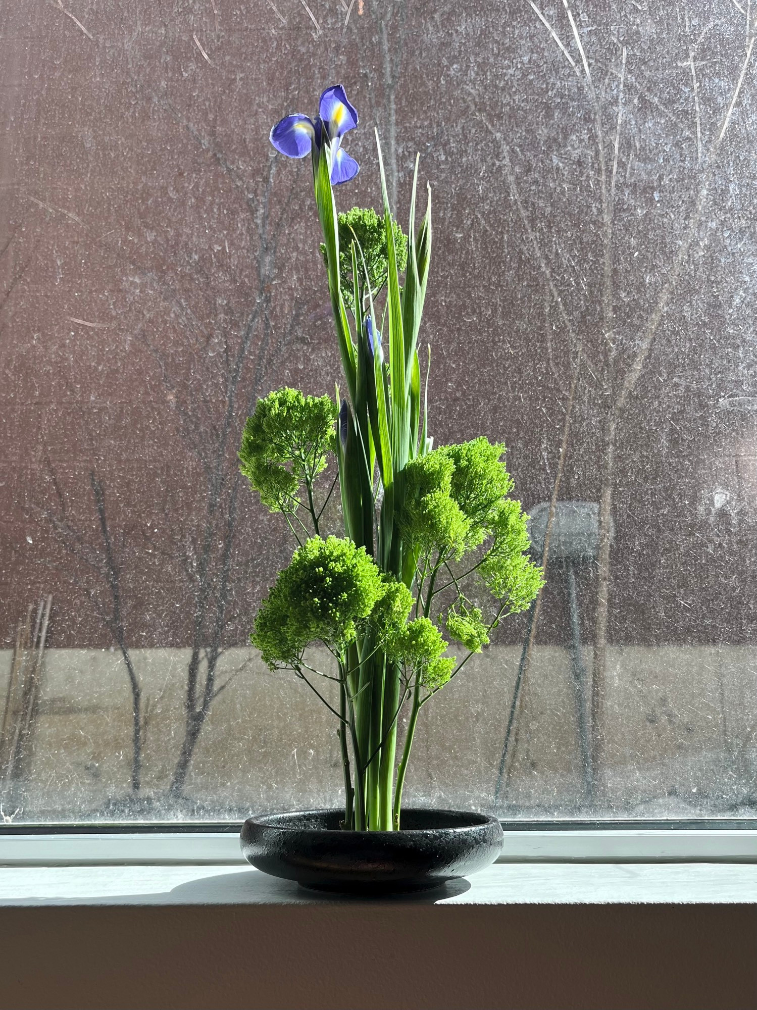 Ikebana in the Morning Sun
