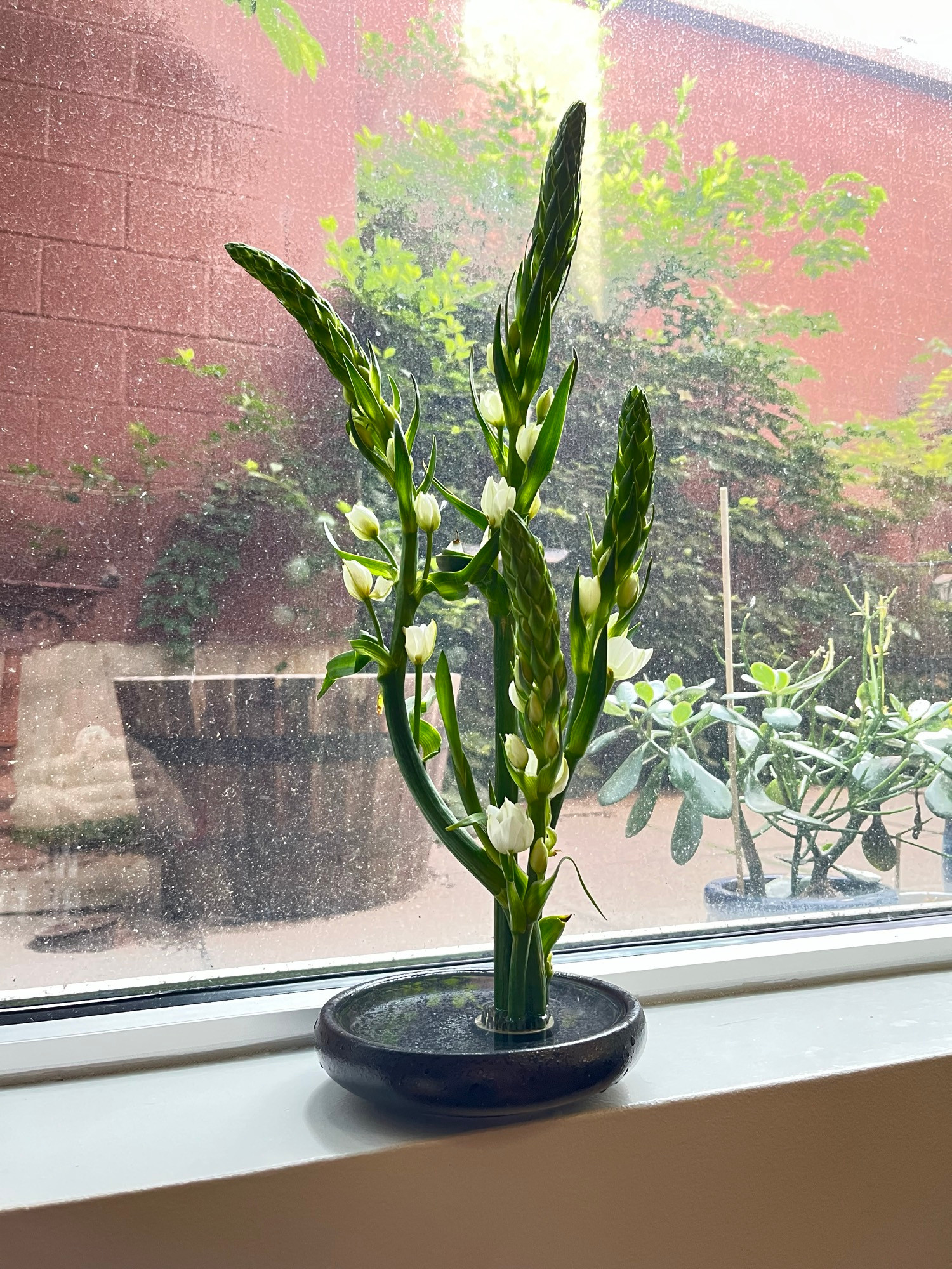 Morning Ikebana