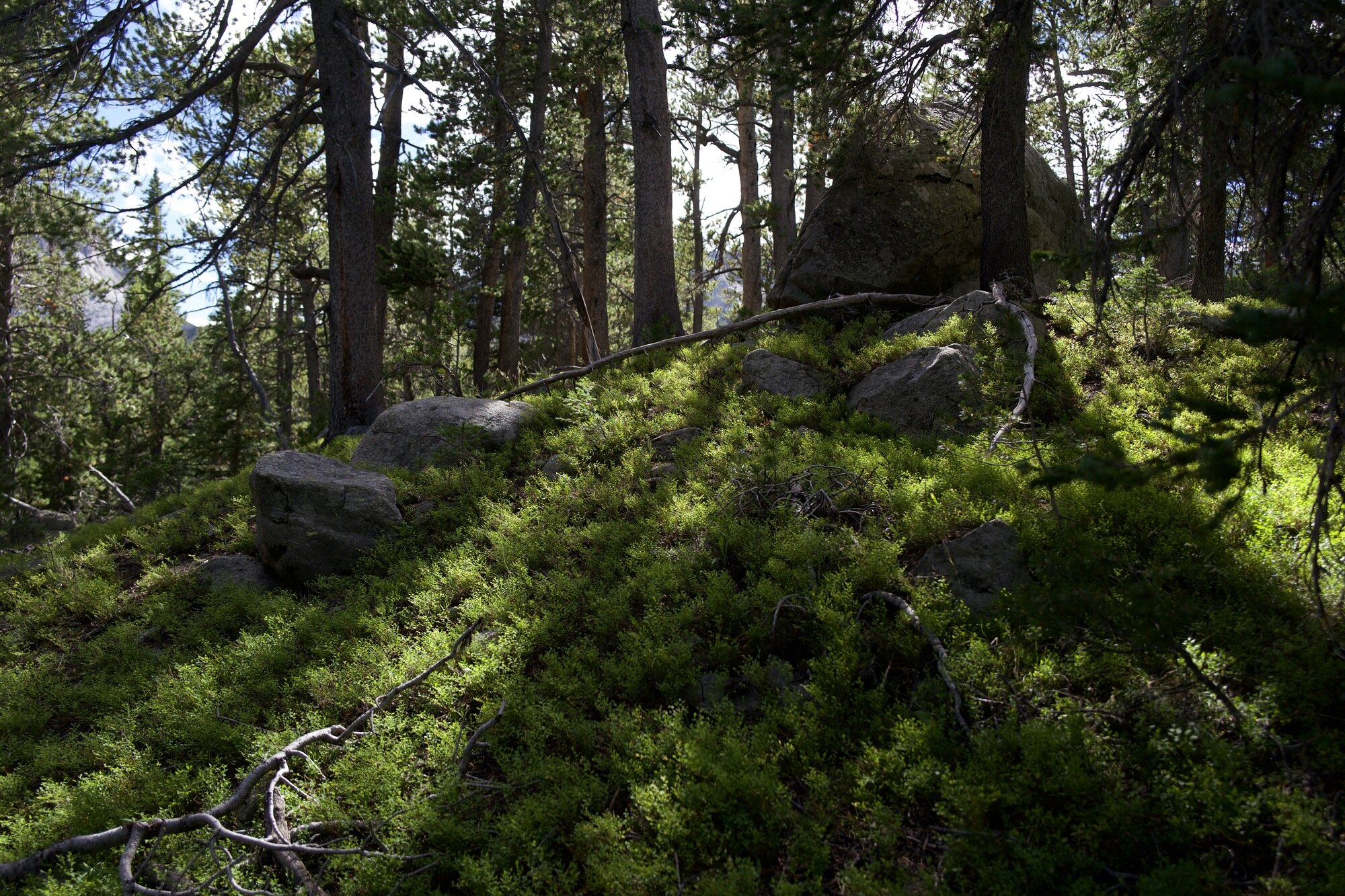 Little Wind River