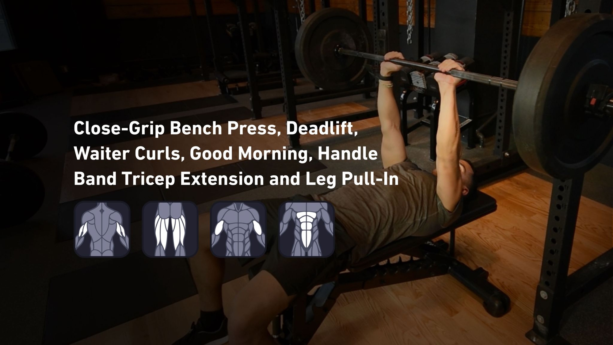 Fitbod - Triceps, Hamstrings, Biceps, Abs ๐๏ธ