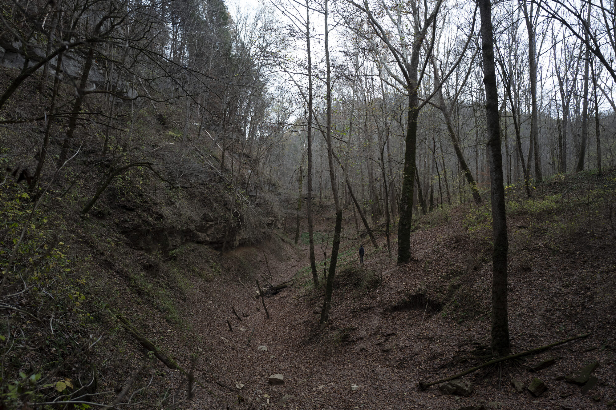 outside of mammoth cave