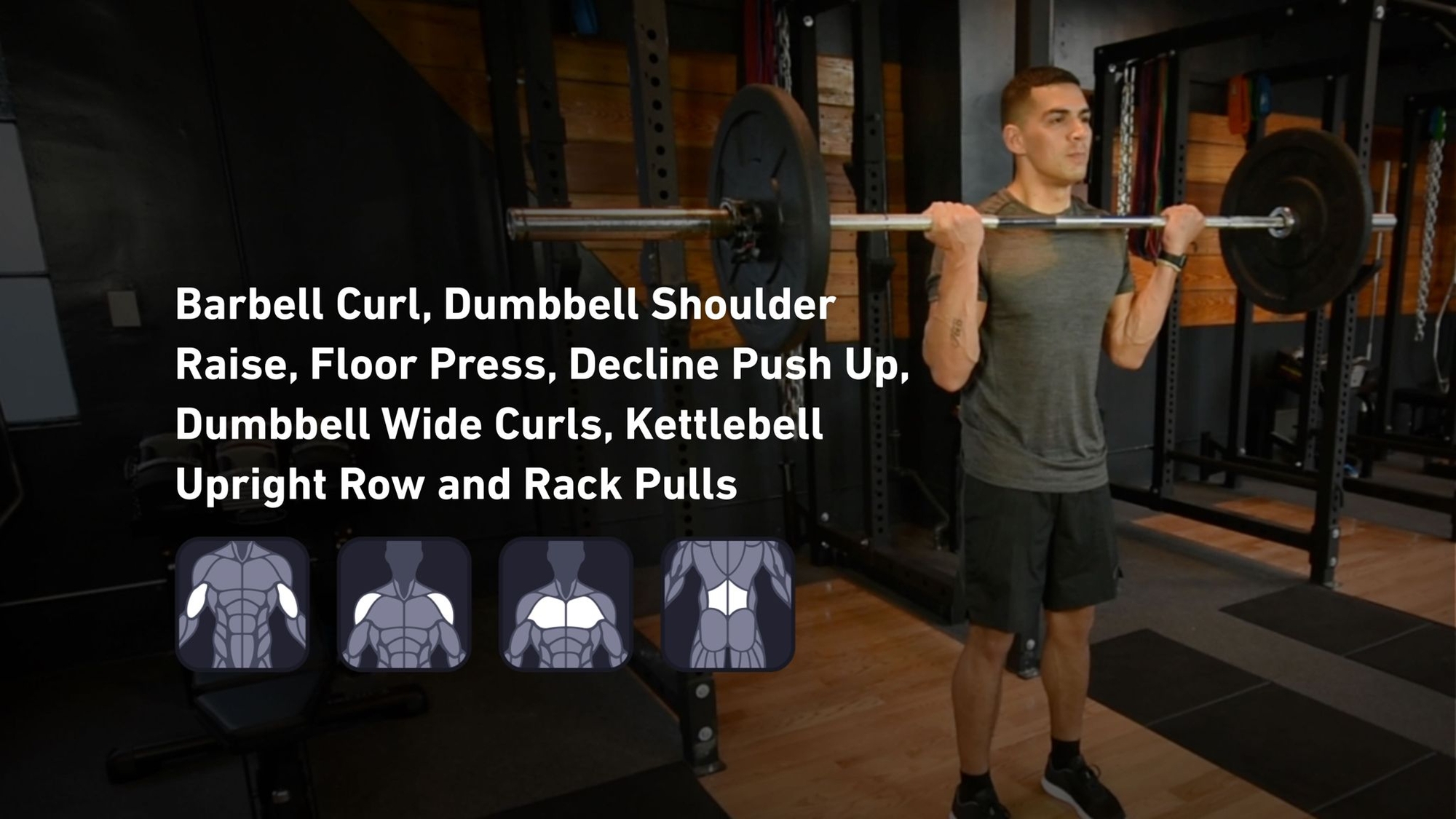 Fitbod - Biceps, Shoulders, Chest, Lower Back ๐๏ธ