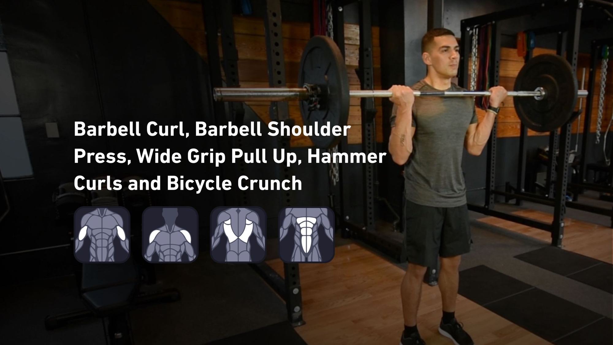 Fitbod - Biceps, Shoulders, Back, Abs 🏋️