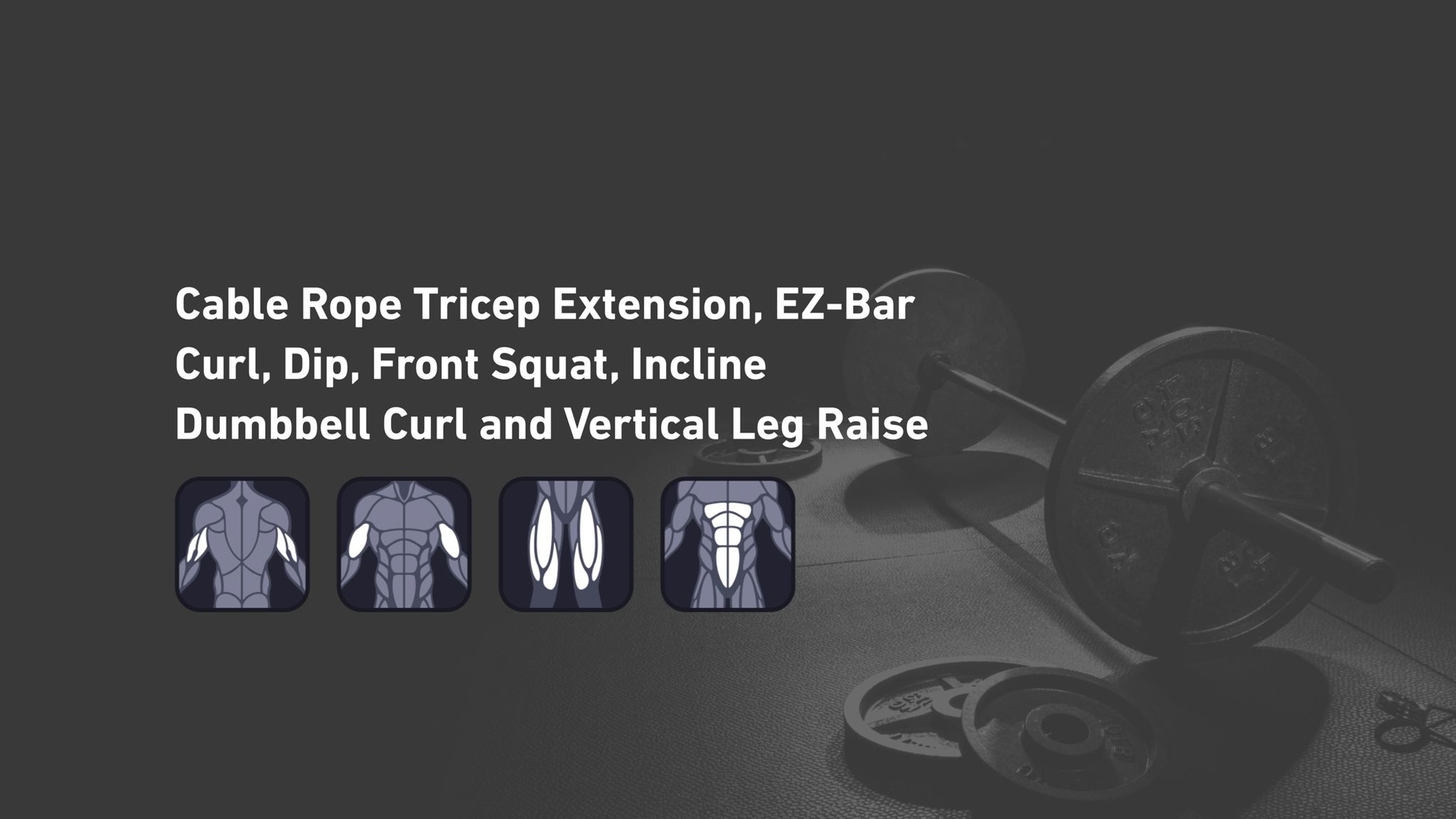 Fitbod - Triceps, Biceps, Quadriceps, Abs ๐๏ธ