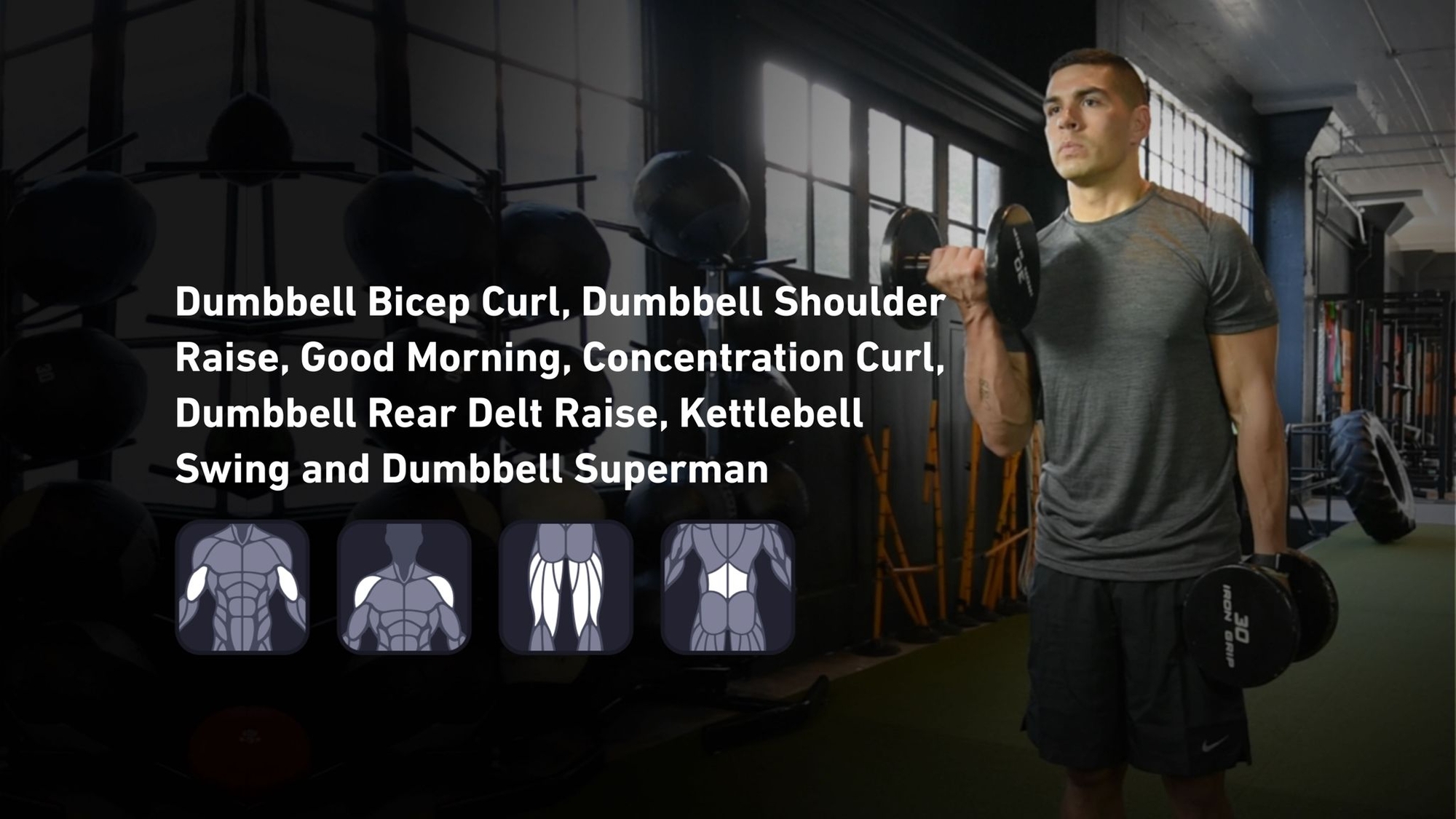 Fitbod - Biceps, Shoulders, Hamstrings, Lower Back ๐๏ธ