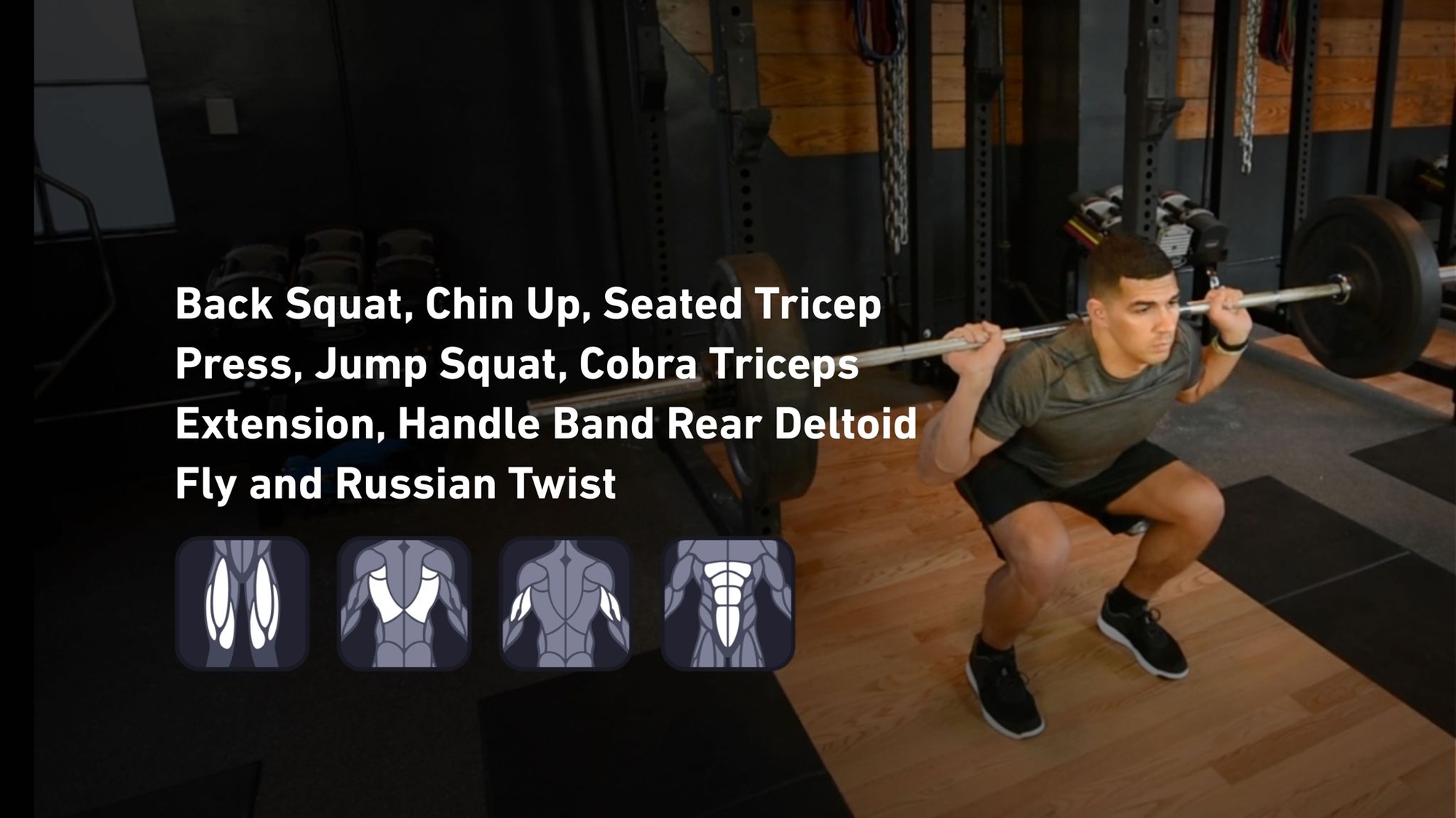 Fitbod - Quadriceps, Back, Triceps, Abs ๐๏ธ