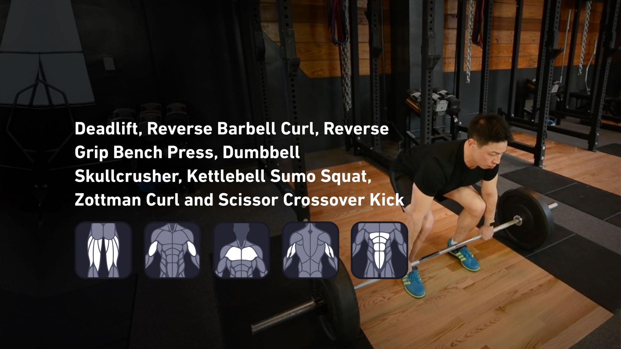 Fitbod - Hamstrings, Biceps, Chest, Triceps, Abs ๐๏ธ