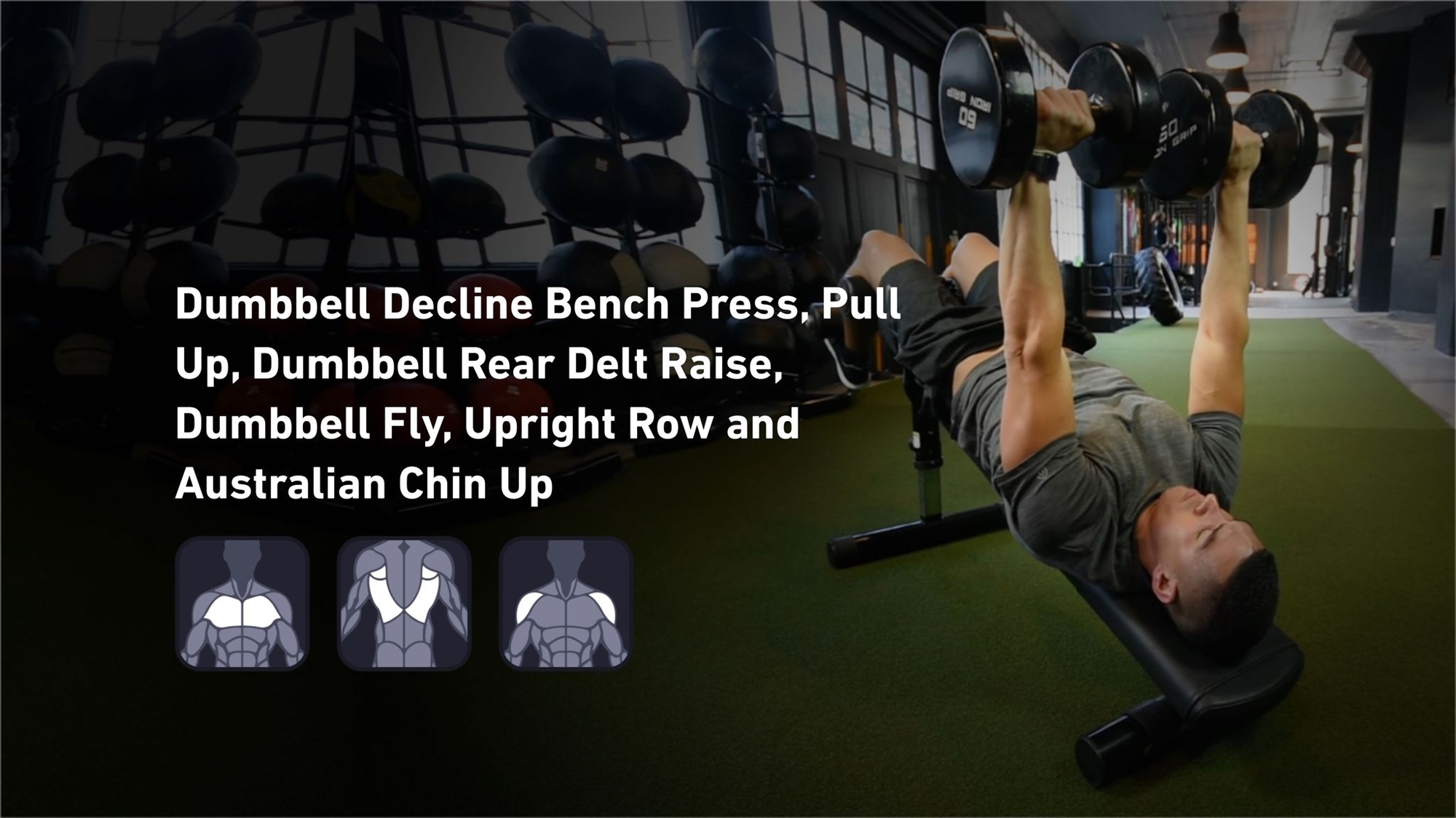 Fitbod - Chest, Back, Shoulders 🏋️