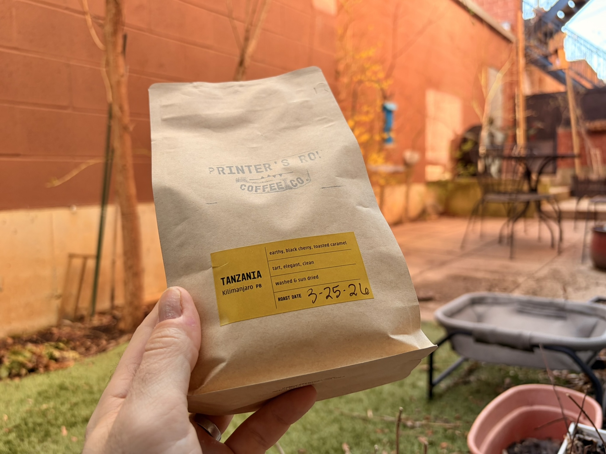 Holding the bag of Tanzania from Printer's Row as Spring blooms in the yard